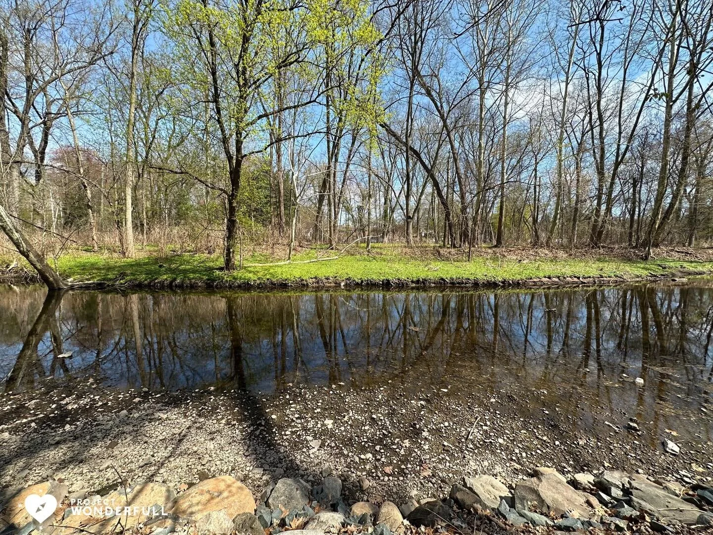 Spring is definitely in full force&hellip;. The brown canvas is beginning to turn green and it&rsquo;s beautiful!

#beautyheals 

Today&rsquo;s WonderFULL: Green Pops of Spring

(Ridgewood, NJ) 

Have a wonderFULL Monday! 

Sarah Grace 🩵🩵 

P.S. Sh