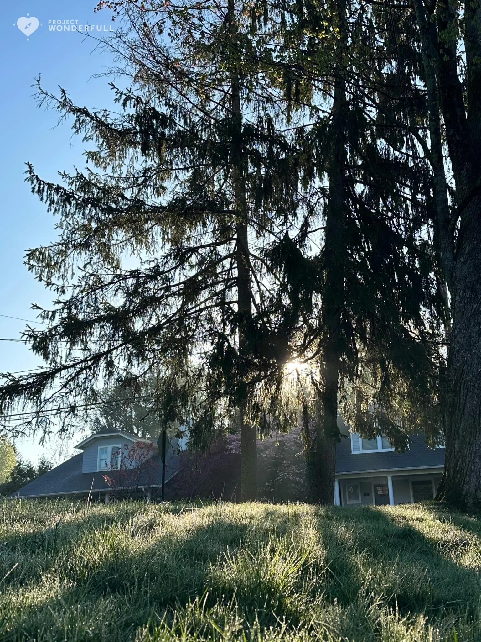 Wishing you a fresh and beautiful day! 

#beautyheals 

Today&rsquo;s WonderFULL: Frosty Spring Morning 

(Ridgewood, NJ) 

Have a wonderFULL Sunday! 

Sarah Grace 🩵🩵 

P.S. Share this beauty with someone you love today. #beautyheals 

https://www.