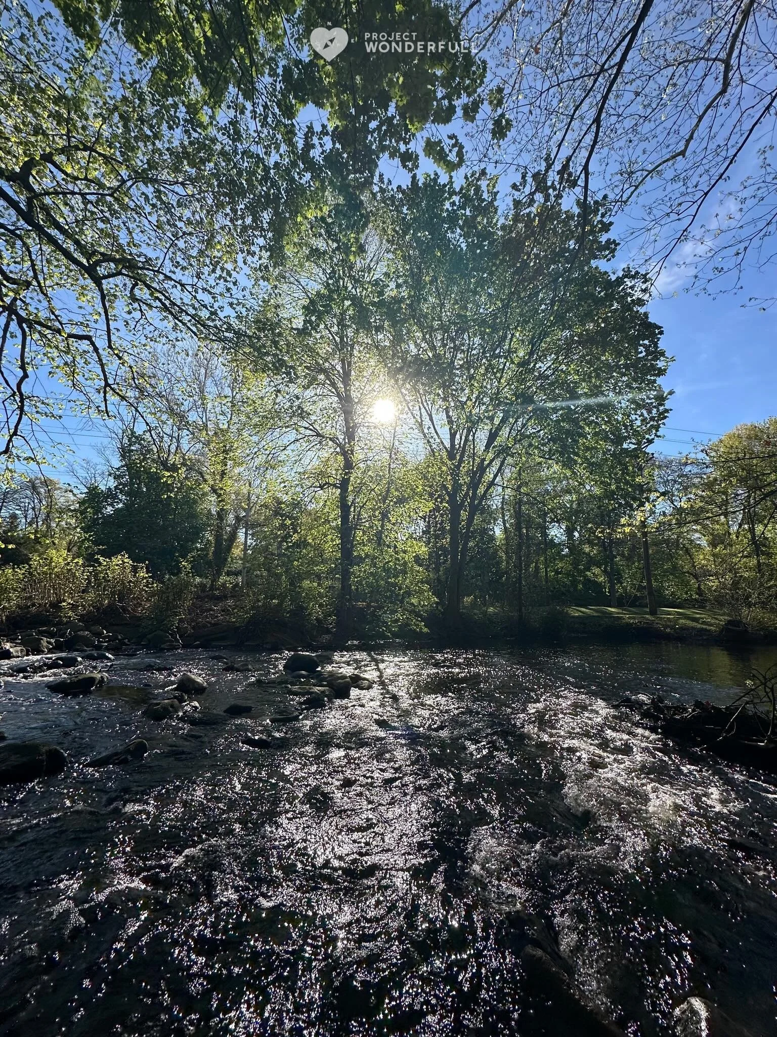 &ldquo;Hello, sun in my face&hellip; I start the day in happiness, in kindness.&rdquo; - Mary Oliver 
#beautyheals 

Today&rsquo;s WonderFULL: Morning Sun Solace

(Ridgewood, NJ) 

Have a wonderFULL Wednesday! 

Sarah Grace 🩵🩵 

P.S. Share this bea