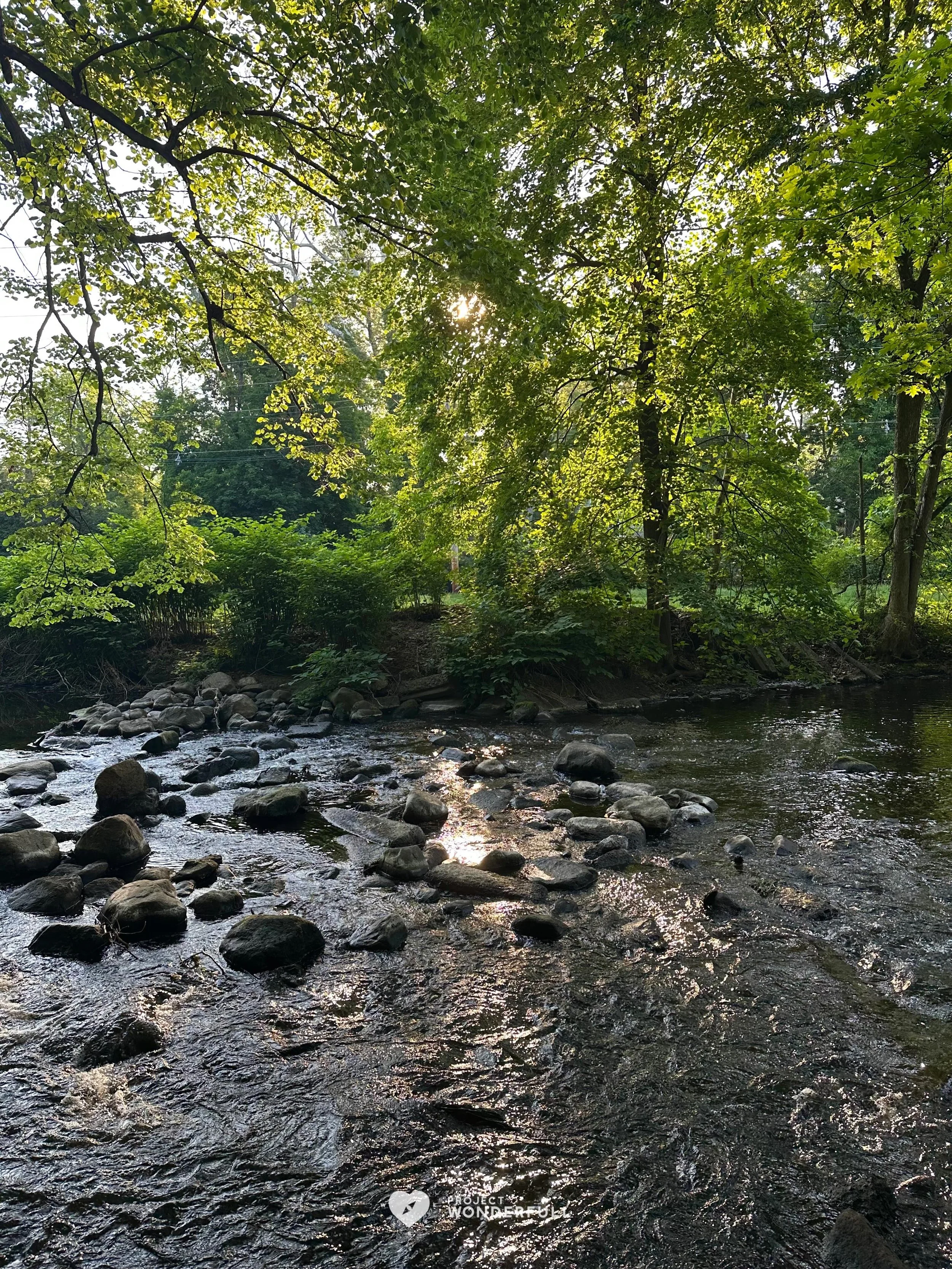 &ldquo;Nature itself is the best physician.&rdquo;- Hippocrates
#beautyheals 

Today&rsquo;s WonderFULL: Dr. Nature

(Ridgewood, NJ) 

Have a wonderFULL Thursday! 

Sarah Grace 🩵🩵 

P.S. Share this beauty with someone you love today. #beautyheals 
