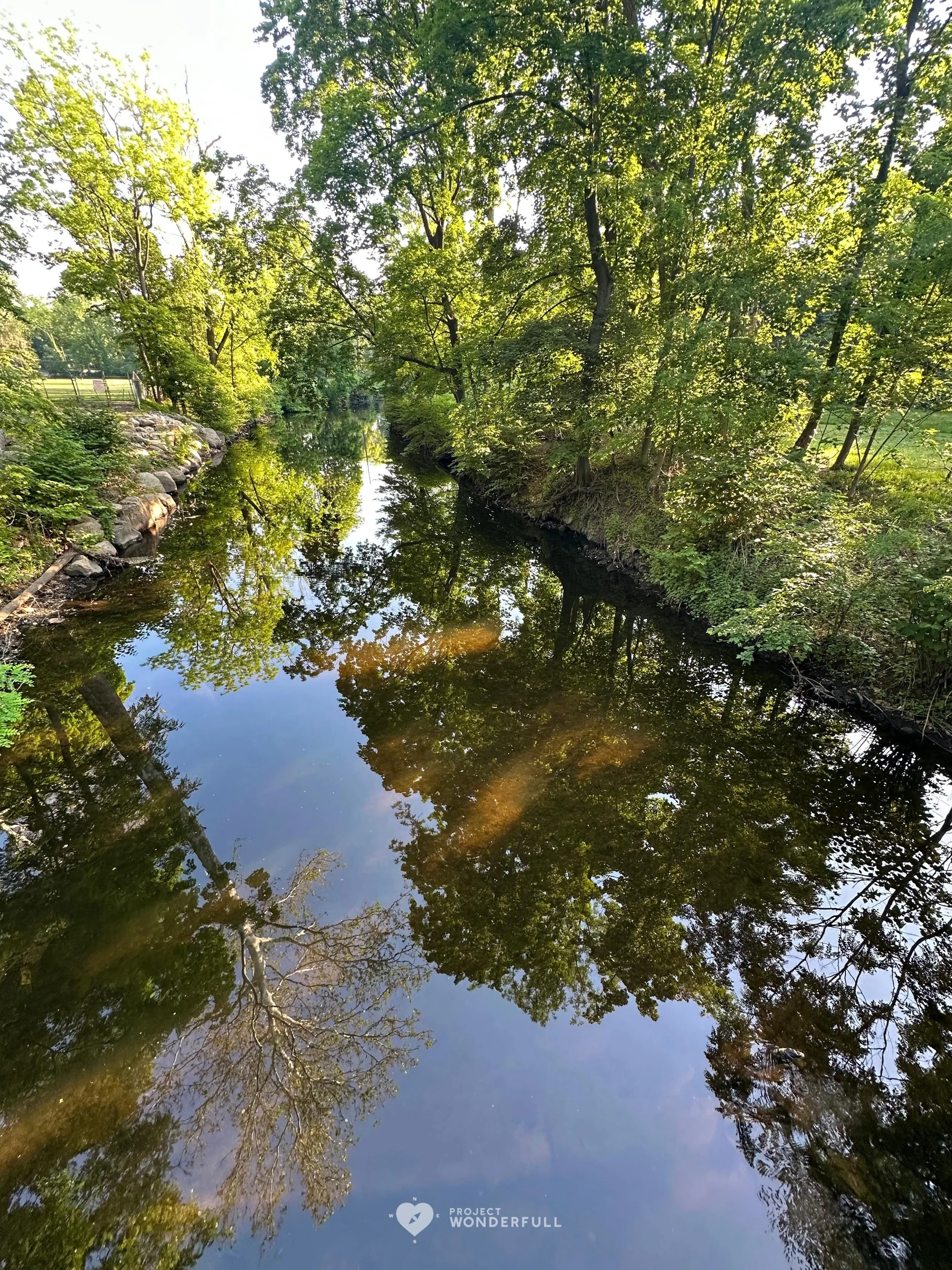 So lush&hellip;. This beauty is for you! 
#beautyheals 

Today&rsquo;s WonderFULL: Lush Vibes

(Ridgewood, NJ) 

Have a wonderFULL Saturday! 

Sarah Grace 🩵🩵 

P.S. Share this beauty with someone you love today. #beautyheals 

https://www.projectwo