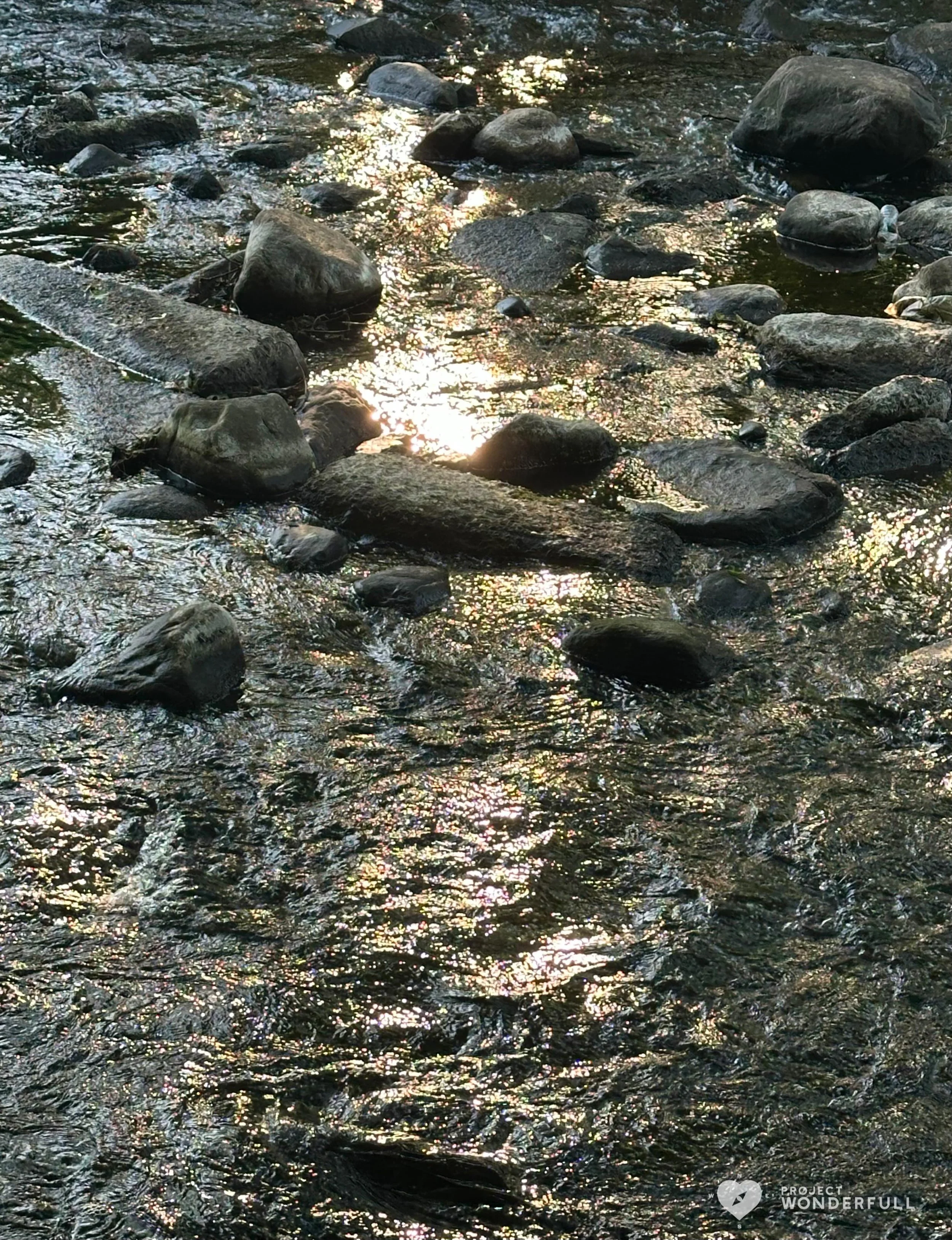 &ldquo;Sunlight is painting.&rdquo; - Nathaniel Hawthorne
#beautyheals 

Today&rsquo;s WonderFULL: Water Sun Painting 

(Ridgewood, NJ) 

Have a wonderFULL Sunday! 

Sarah Grace 🩵🩵 

P.S. Share this beauty with someone you love today. #beautyheals 