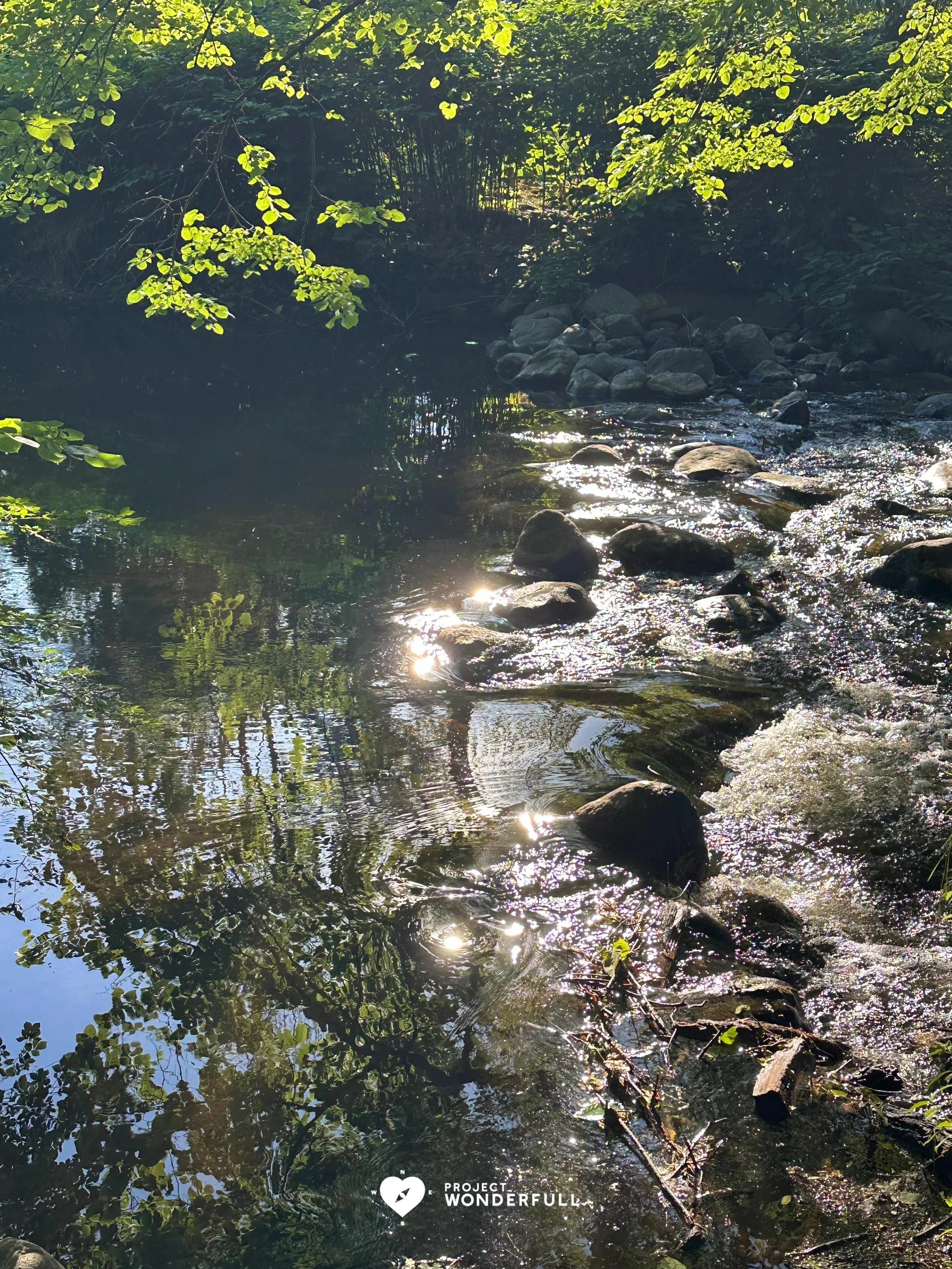 &ldquo;Letting go doesn&rsquo;t erase the past. 

It reclaims the energy you&rsquo;ve been using to hold on, so you can create what&rsquo;s next while honoring what came before.&rdquo; - Cory Muscara
#beautyheals 

Today&rsquo;s WonderFULL: Peace in 