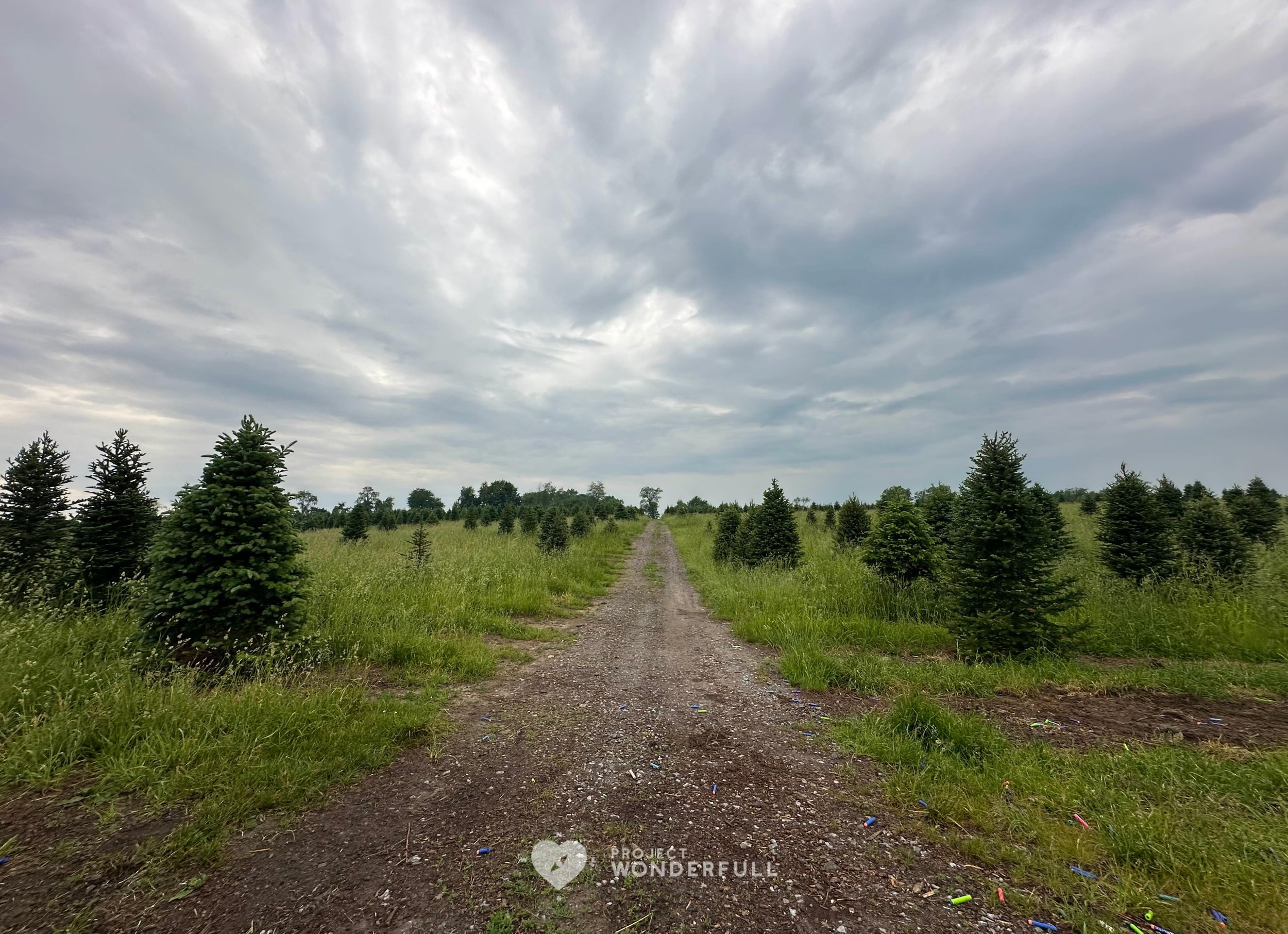 &ldquo;As you start to walk on the way, the way appears.&rdquo; - Rumi
#beautyheals 

Today&rsquo;s WonderFULL:Wayfinding Path

(Scottsville, NY) 

Have a wonderFULL Sunday!

Sarah Grace 🩵🩵 

P.S. Share this beauty with someone you love today. #bea