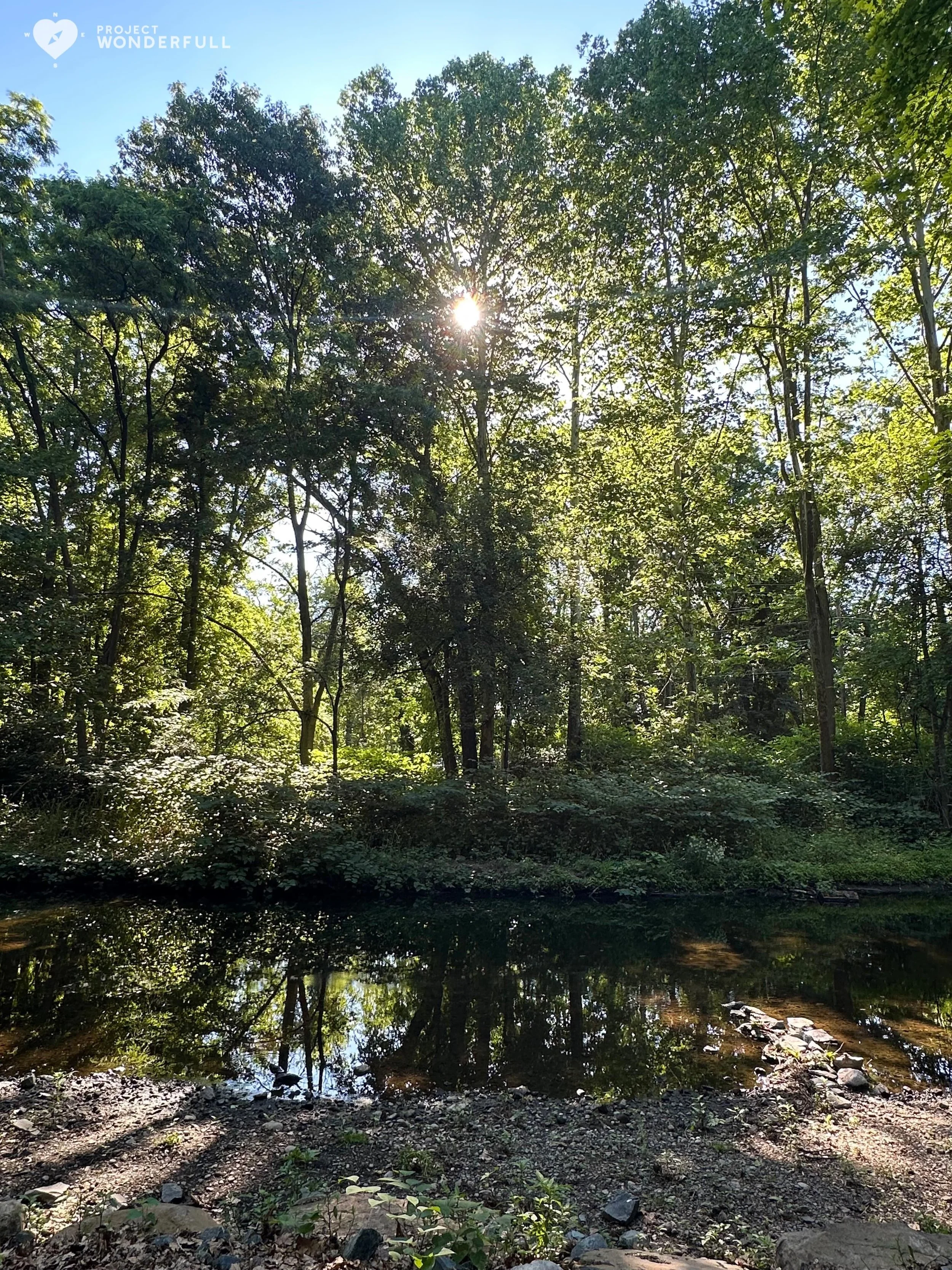 I know, I know, it&rsquo;s not quite summer, but this recent morning sure felt like it! Basking in these beautiful days! I hope you are too, wherever you are in the world! 
#beautyheals 

Today&rsquo;s WonderFULL: Summer Morning on the Path

(Ridgewo