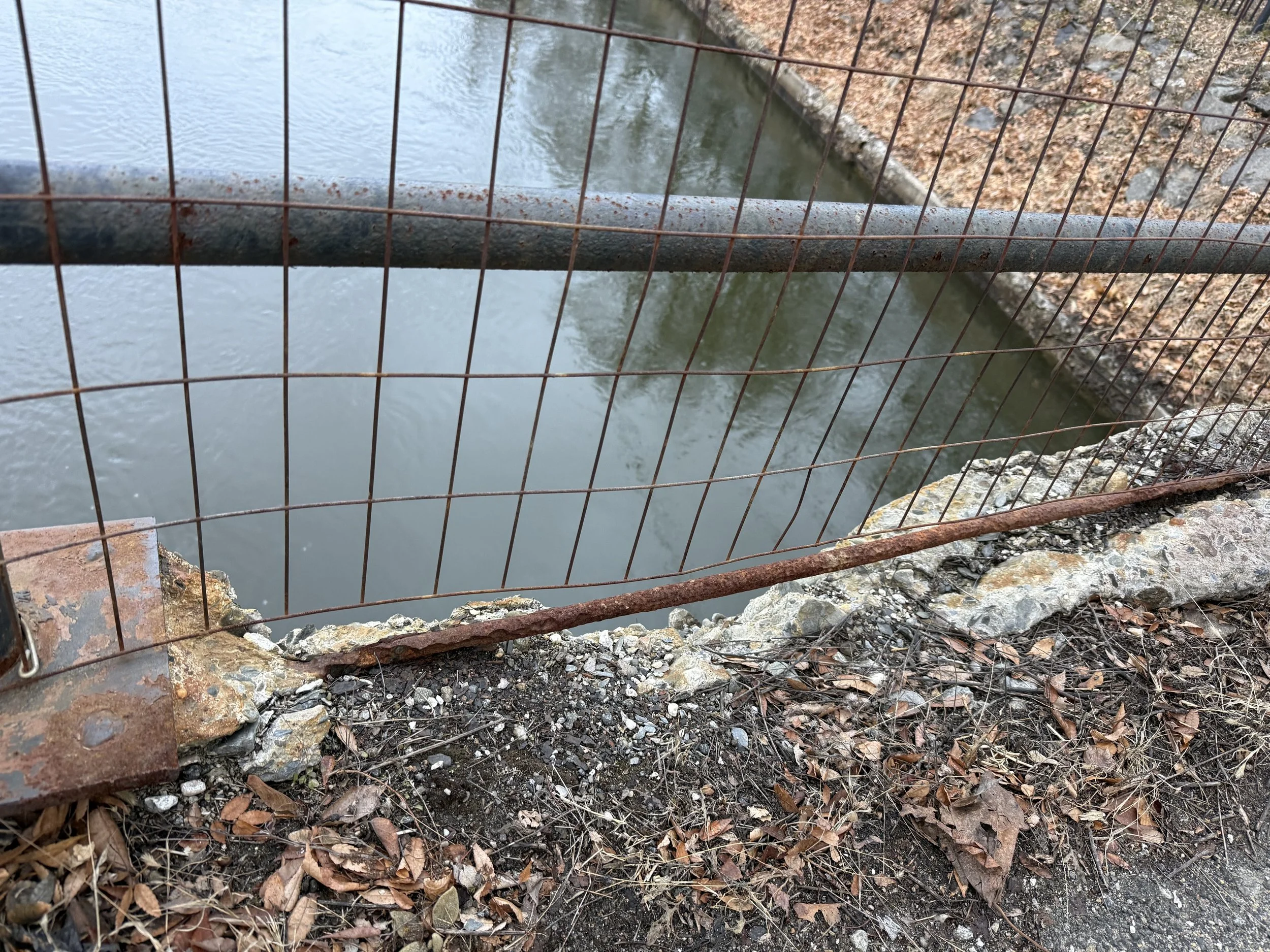 fence rebar distengrating 3.2026.jpeg