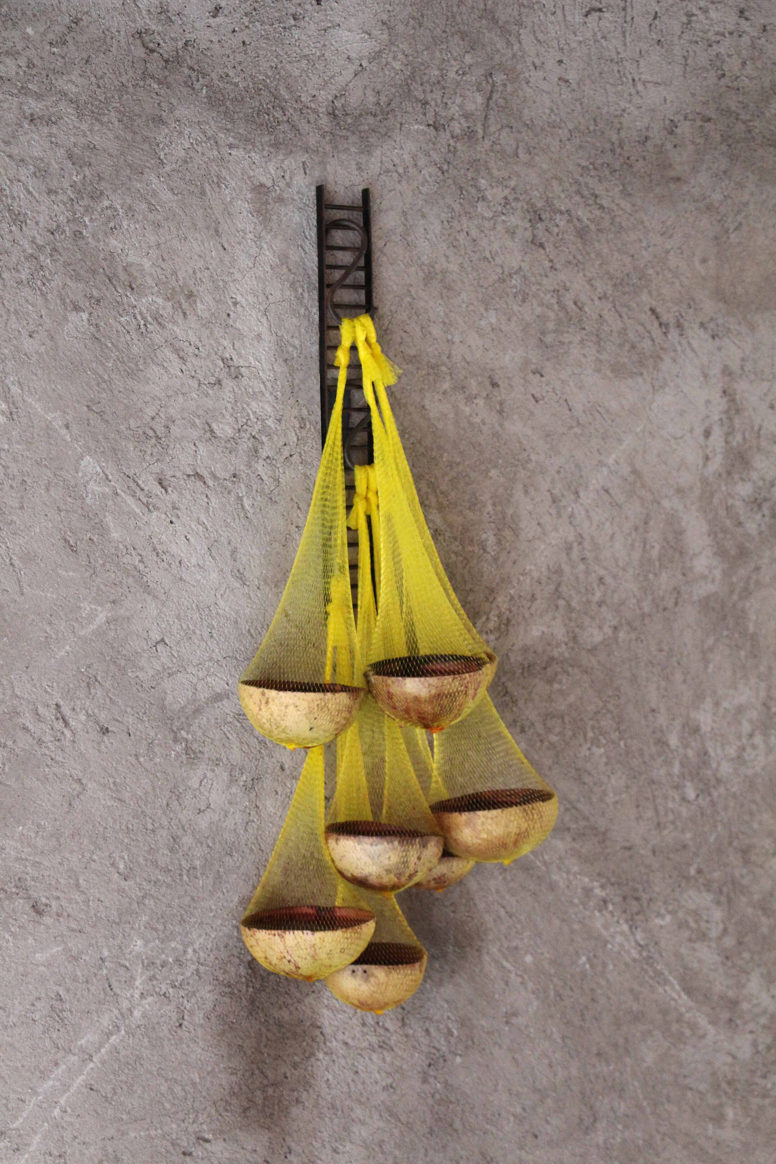   Jícara Jamaica (Naranjo 96) , calabash, plastic net, hibiscus infused water (Hibiscus Sabdariffa), metal fixation, hooks, 70cm x 35cm x 18cm, guadalajara90210, Mexico City, 2019 