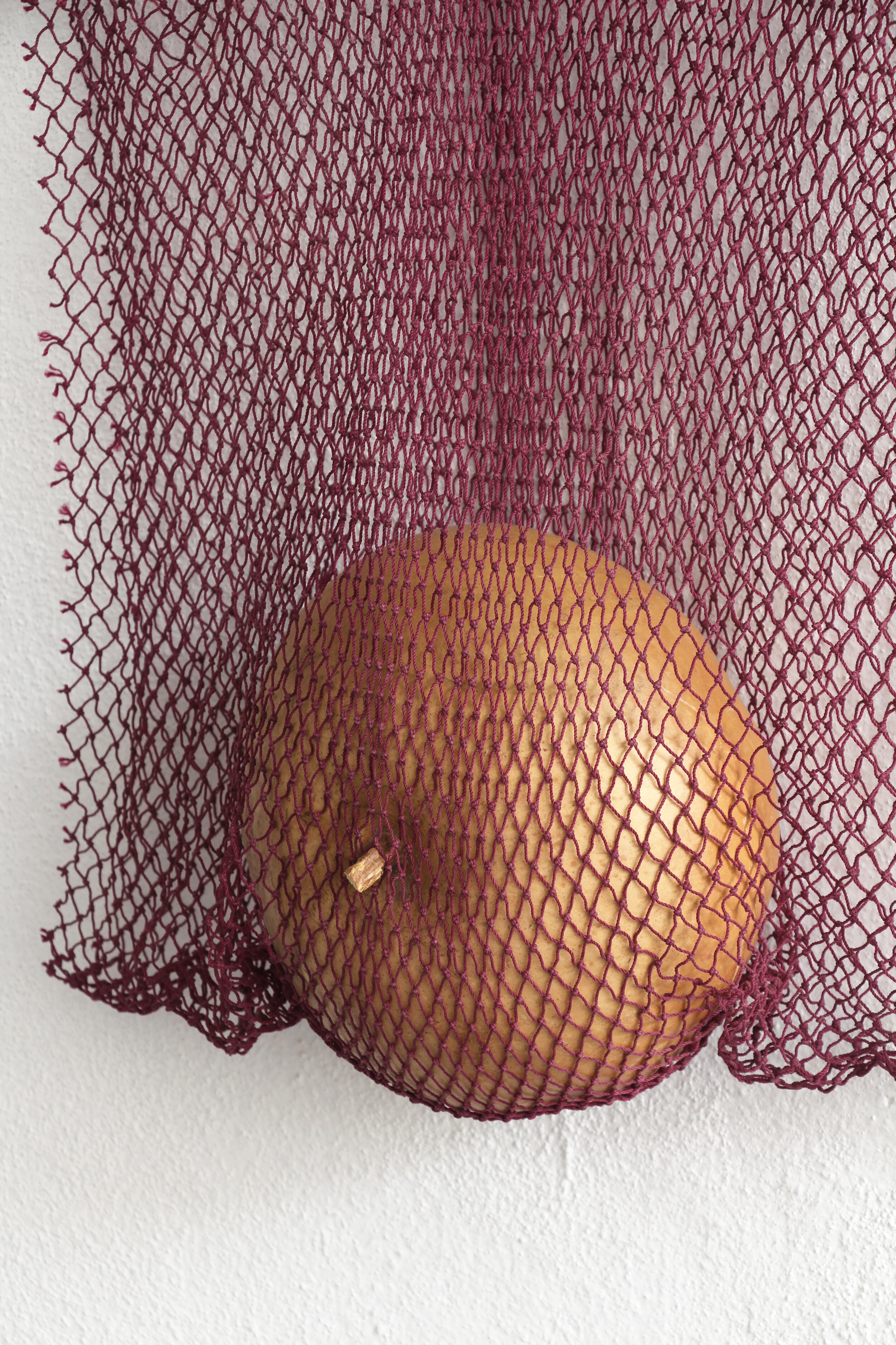   Pezón (red morada)  (Detail), fishing net, calabash, nails, 50cm x 66cm x 10cm, Massapê Projetos, São Paulo, Brazil, 2019  