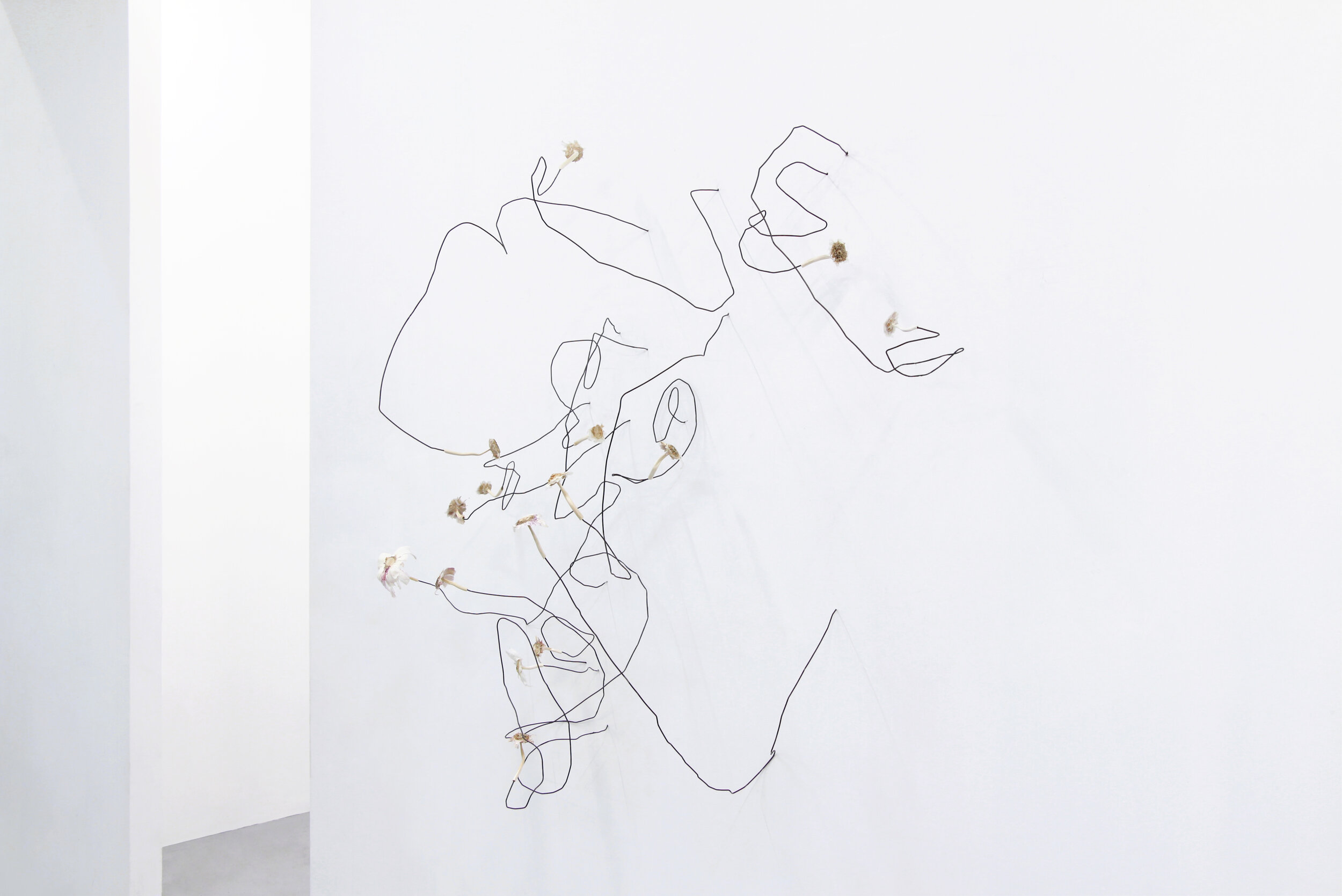  (…) sometimes what is discarded becomes the most beautiful, what remains and what is remembered, what we had not been looking for but which reaches us (...) , in situ installation, metal wire, garlic outter peel and scapes, variable dimensions, 202