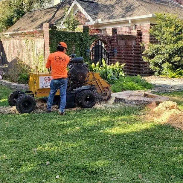 OM Tree Service gallery 6