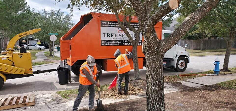 omtreeservice18.jpg