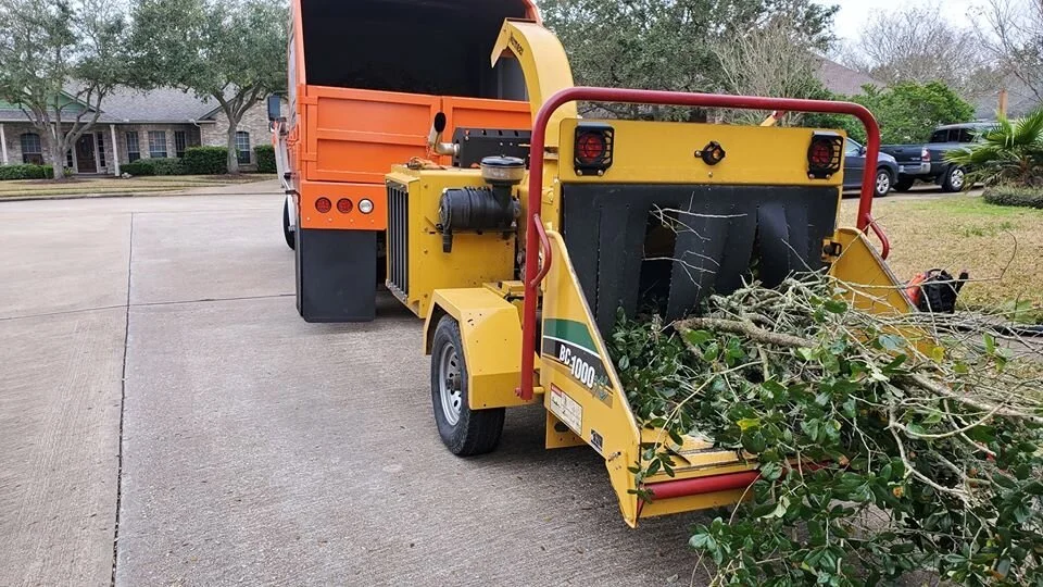 OM Tree Service gallery 2