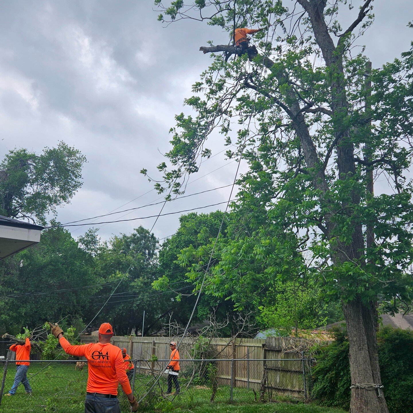 OM Tree Service
832-TREES-OM
832-873-3766
Free Estimates on Tree Removal and Tree Trimming.
http://omtreeservice.com
http://g.page/omtreeservice
https://bio.site/omtreeservice