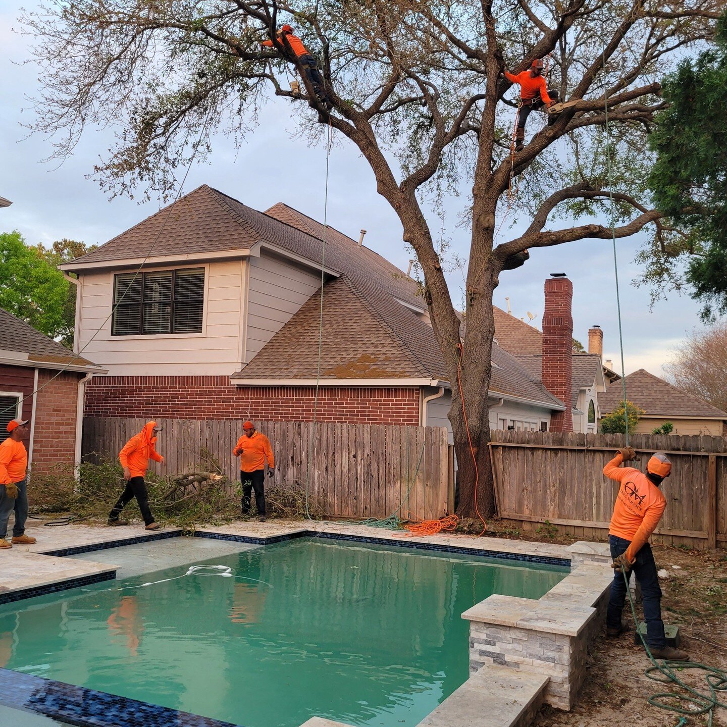 OM Tree Service
832-TREES-OM
832-873-3766
Free Estimates on Tree Removal and Tree Trimming.
http://omtreeservice.com
http://g.page/omtreeservice
https://bio.site/omtreeservice