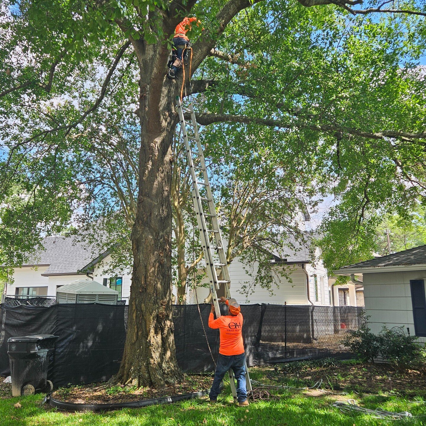 OM Tree Service
832-TREES-OM
832-873-3766
Free Estimates on Tree Removal and Tree Trimming.
http://omtreeservice.com
http://g.page/omtreeservice
https://bio.site/omtreeservice