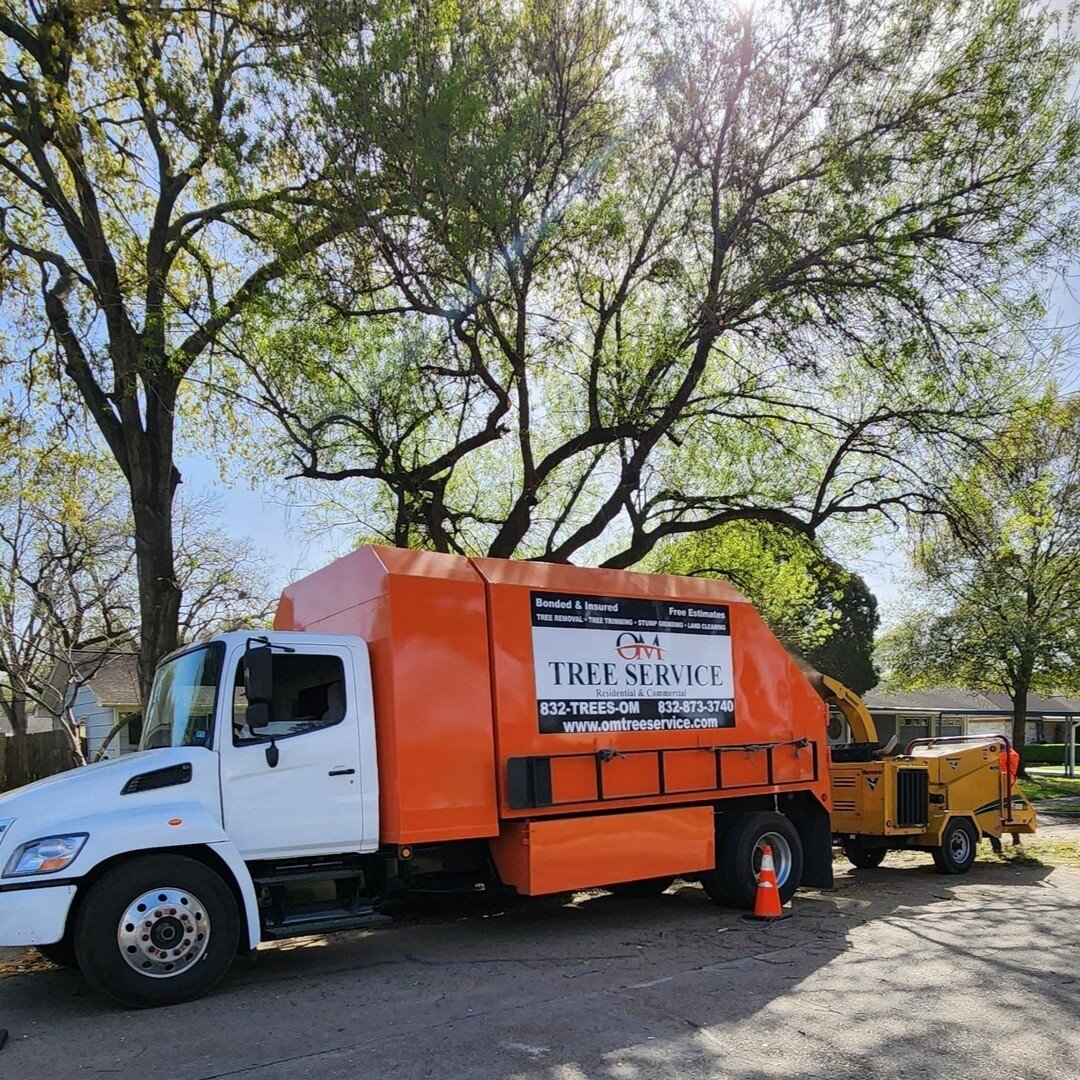 OM Tree Service
832-TREES-OM
832-873-3766
Free Estimates on Tree Removal and Tree Trimming.
http://omtreeservice.com
http://g.page/omtreeservice
https://bio.site/omtreeservice