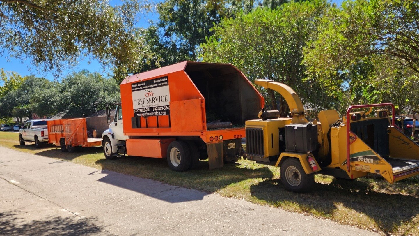 OM Tree Service
832-TREES-OM
832-873-3766
Free Estimates on Tree Removal and Tree Trimming.
http://omtreeservice.com
http://g.page/omtreeservice
https://bio.site/omtreeservice
