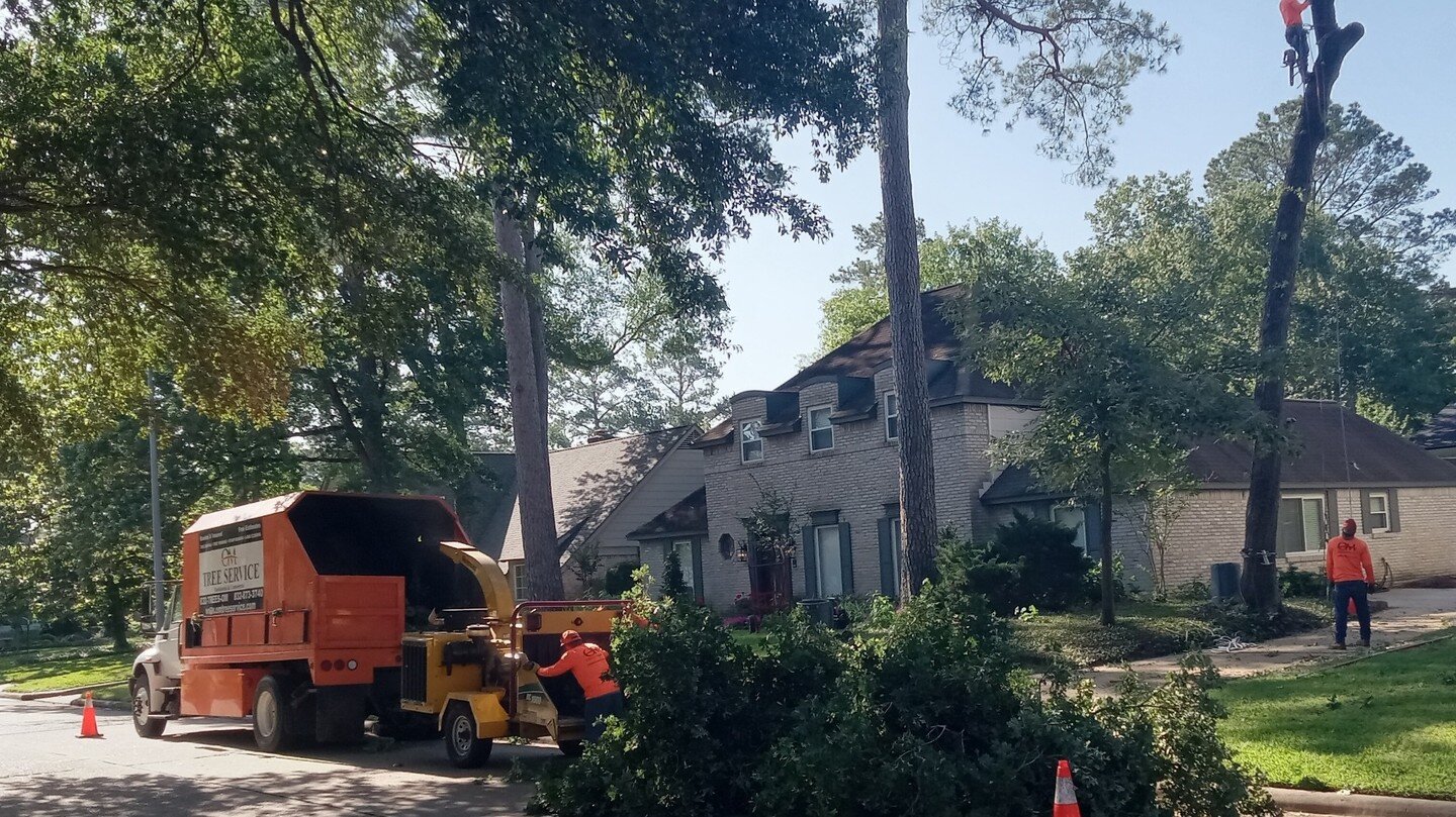 OM Tree Service
832-TREES-OM
832-873-3766
Free Estimates on Tree Removal and Tree Trimming.
http://omtreeservice.com
http://g.page/omtreeservice
https://bio.site/omtreeservice