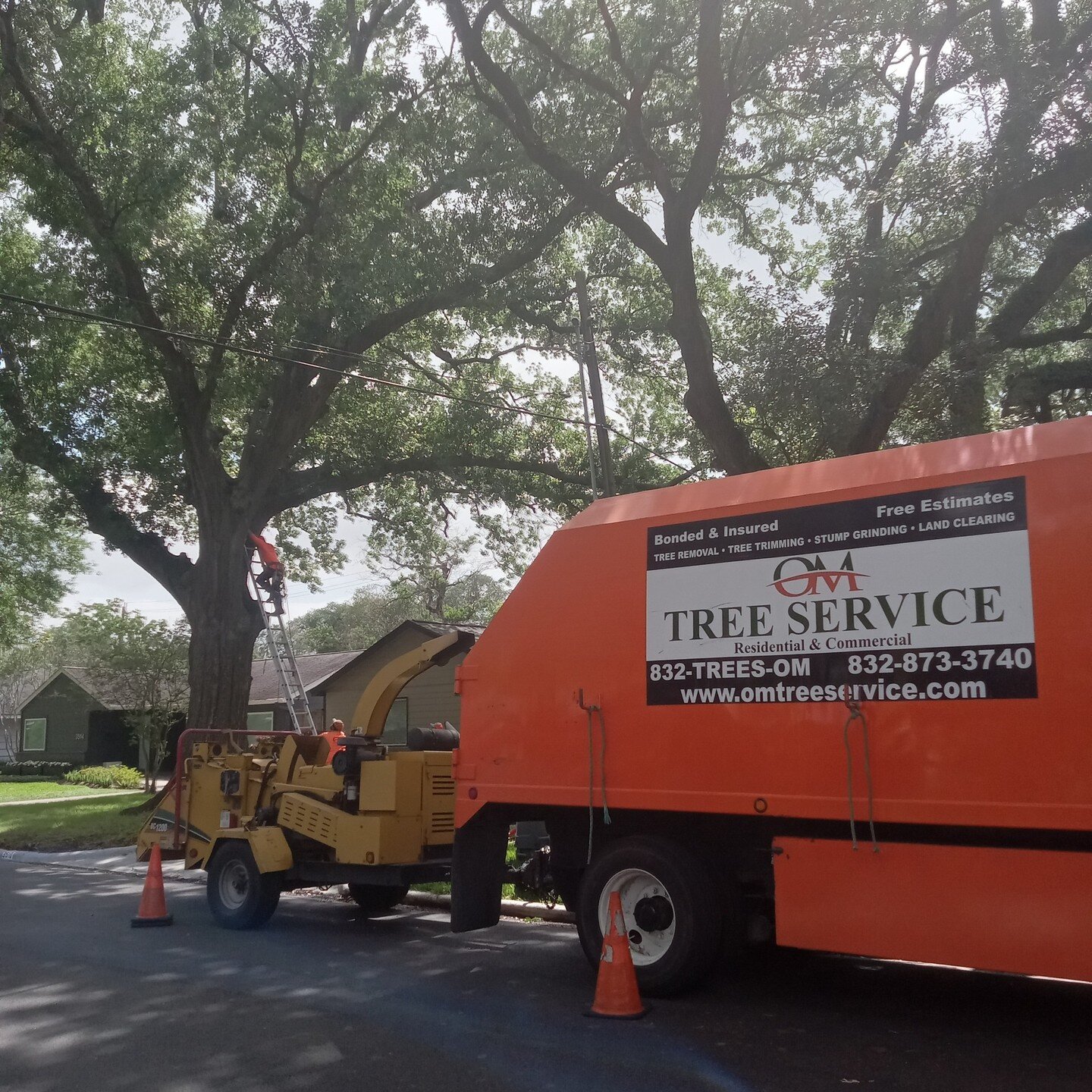 OM Tree Service
832-TREES-OM
832-873-3766
Free Estimates on Tree Removal and Tree Trimming.
http://omtreeservice.com
http://g.page/omtreeservice
https://bio.site/omtreeservice