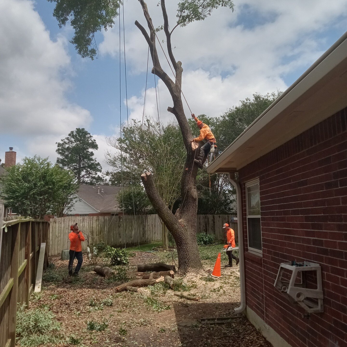 OM Tree Service
832-TREES-OM
832-873-3766
Free Estimates on Tree Removal and Tree Trimming.
http://omtreeservice.com
http://g.page/omtreeservice
https://bio.site/omtreeservice