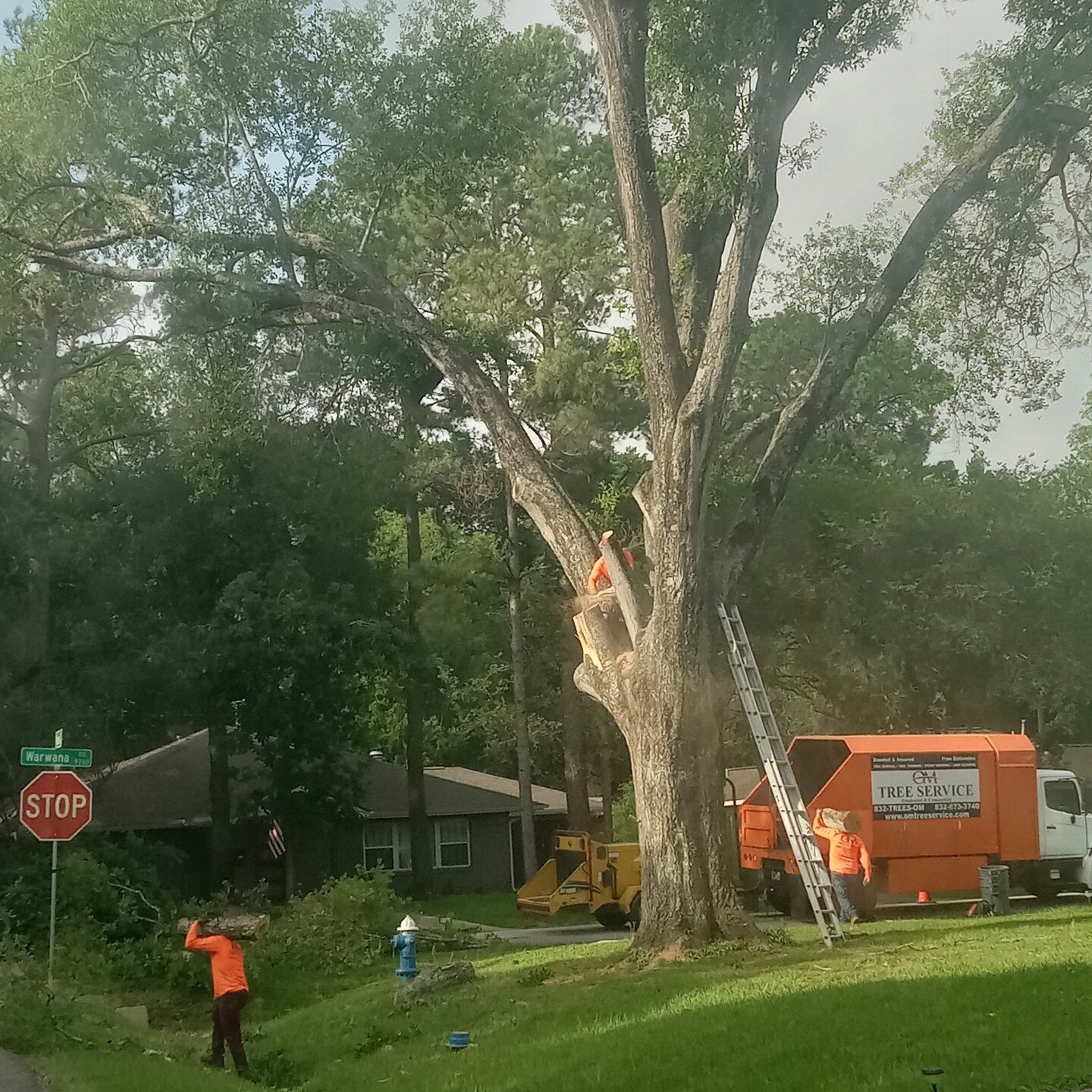 OM Tree Service
832-TREES-OM
832-873-3766
Free Estimates on Tree Removal and Tree Trimming.
http://omtreeservice.com
http://g.page/omtreeservice
https://bio.site/omtreeservice