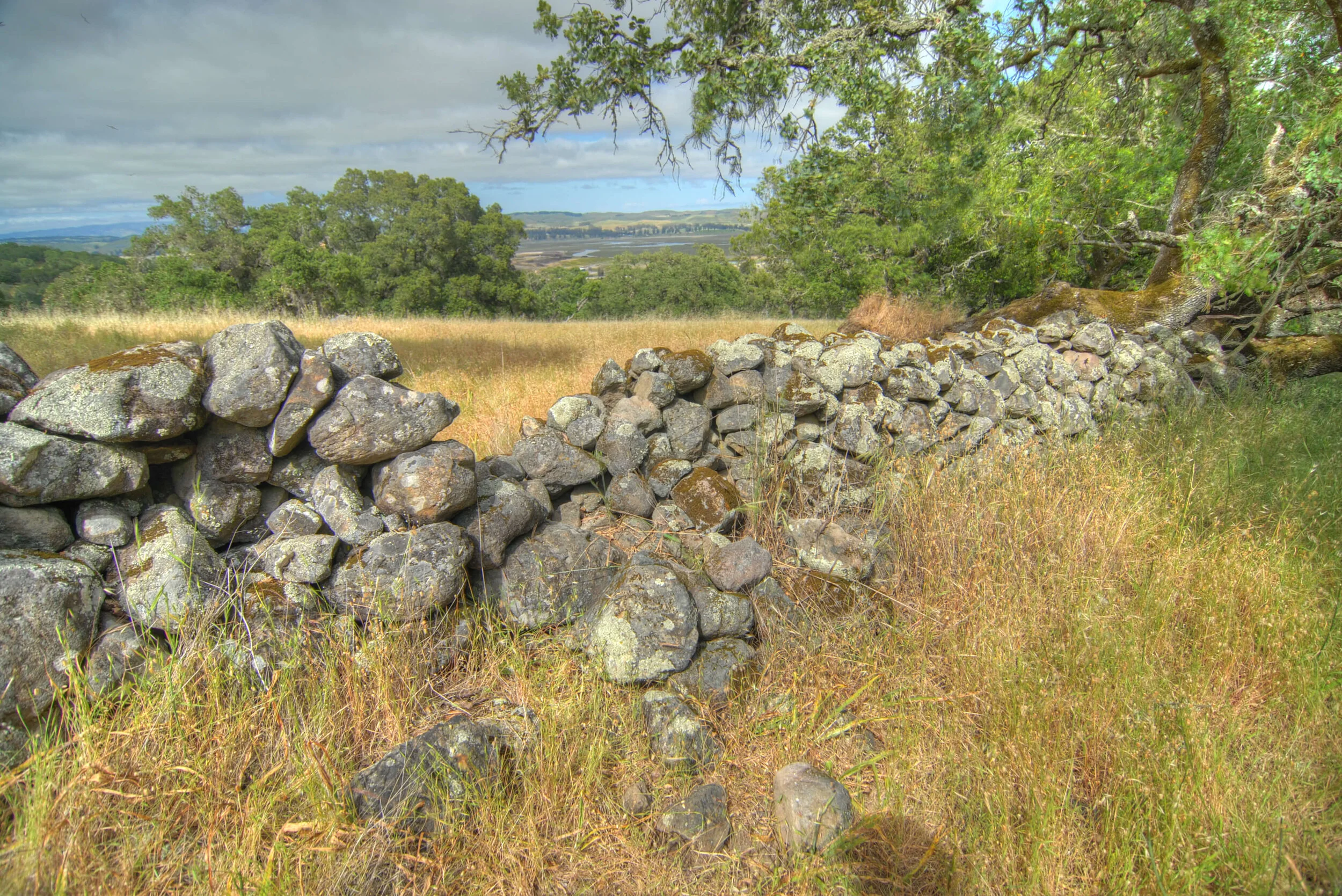 historic_wall.jpg