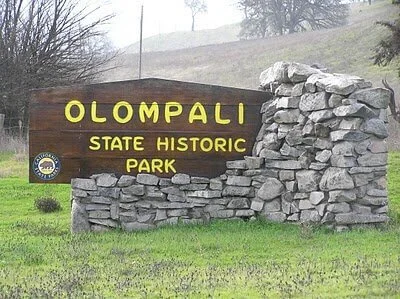 Olompali Orchids &amp; Other Flowers