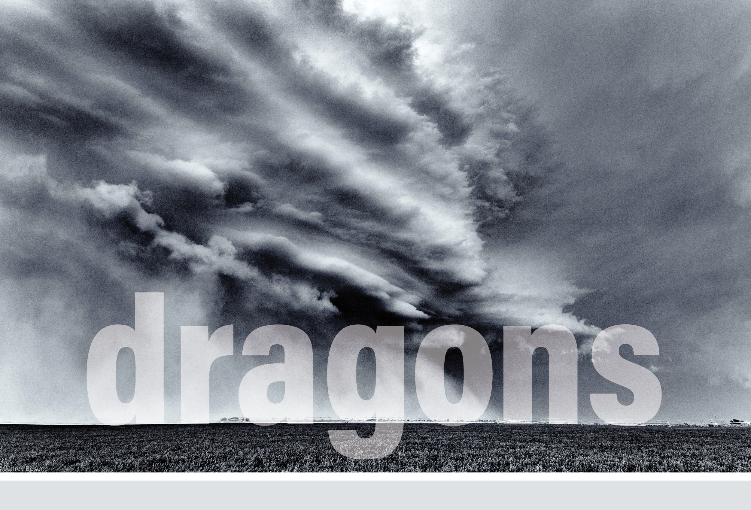Dragons Exhibit - 10/25/2025