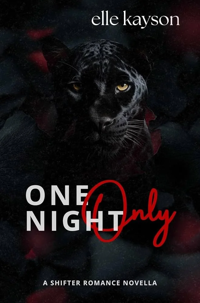 One Night Only by elle kayson.jpg