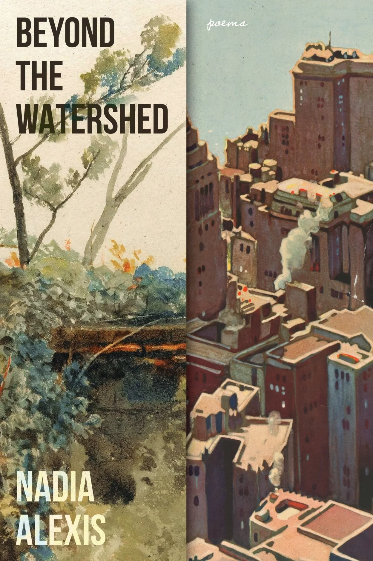 Beyond the Watershed by Nadia Alexis.jpg