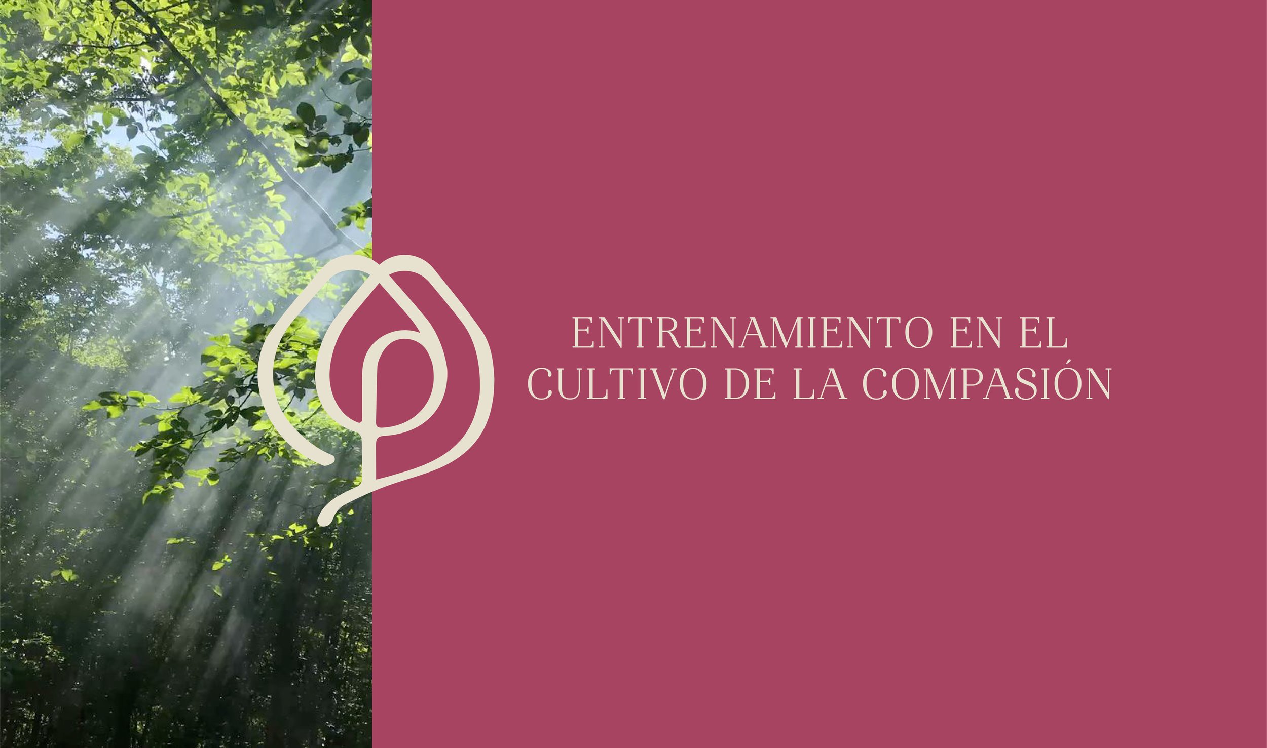 Cultivo de la compasion-10.jpg