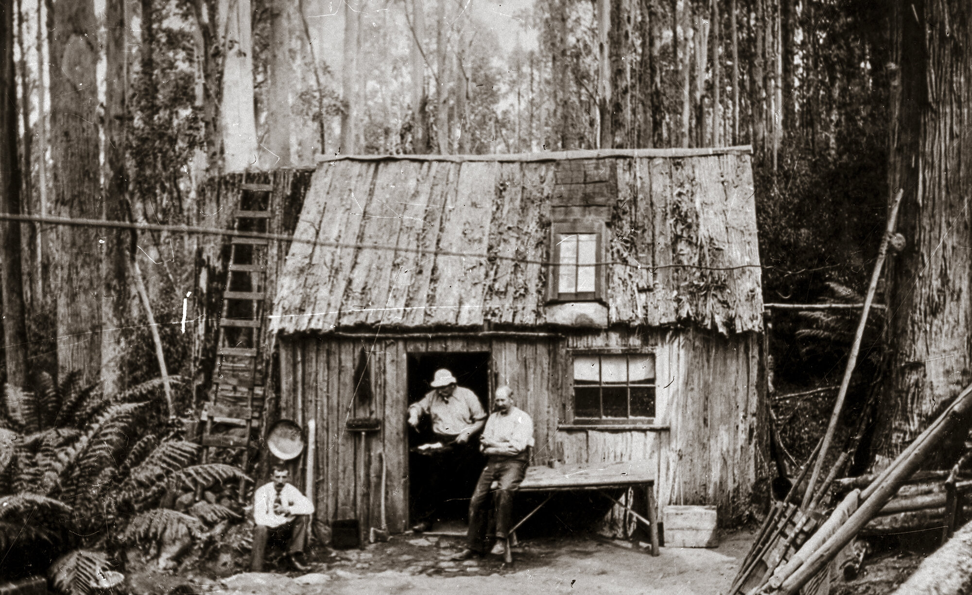 Ellis and Sanson Brothers hut