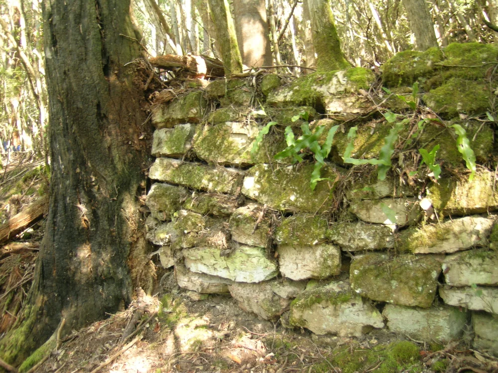 Hut platform retaining wall
