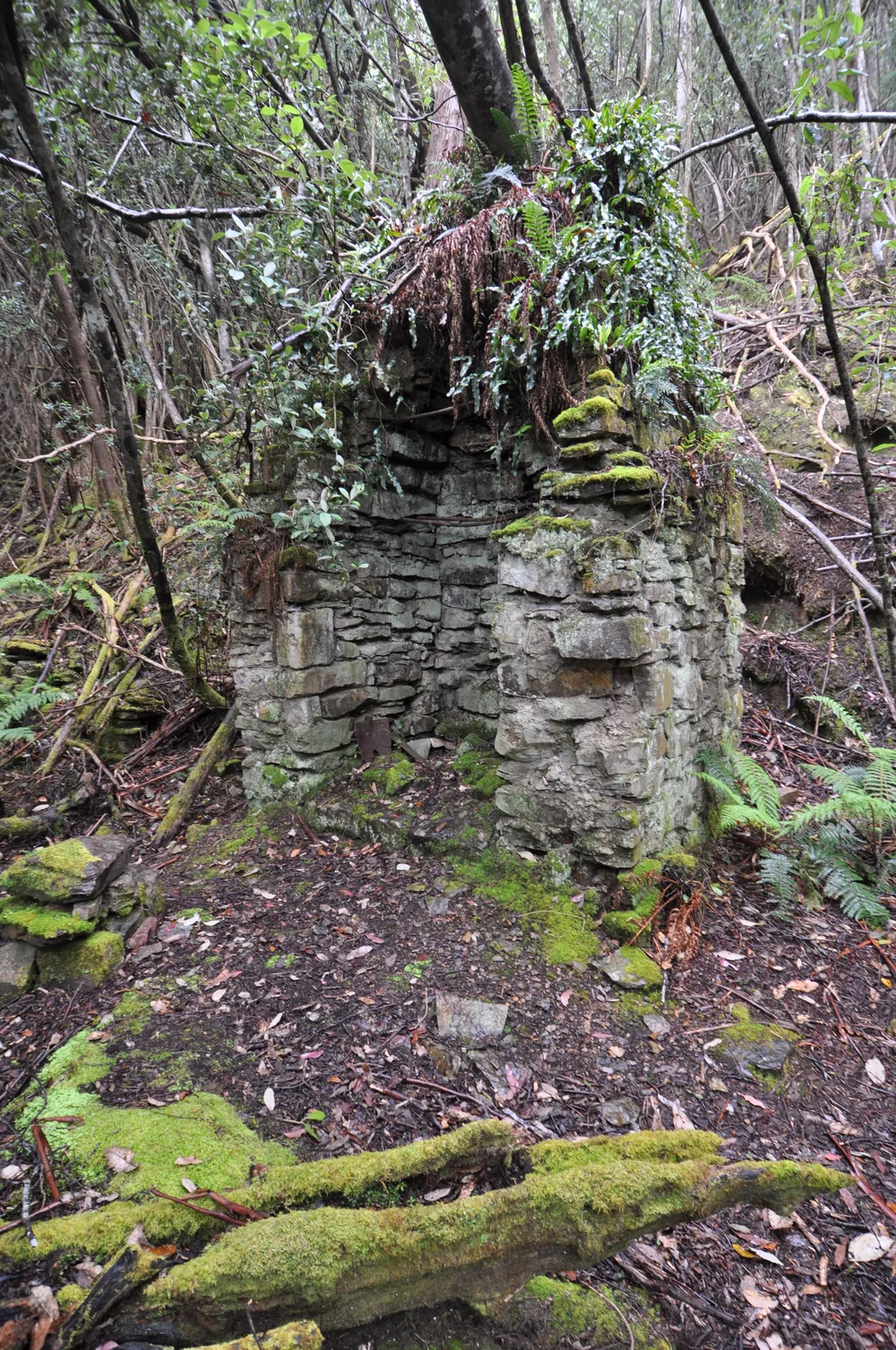 Beautiful chimney remains