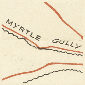 MYRTLE GULLY 