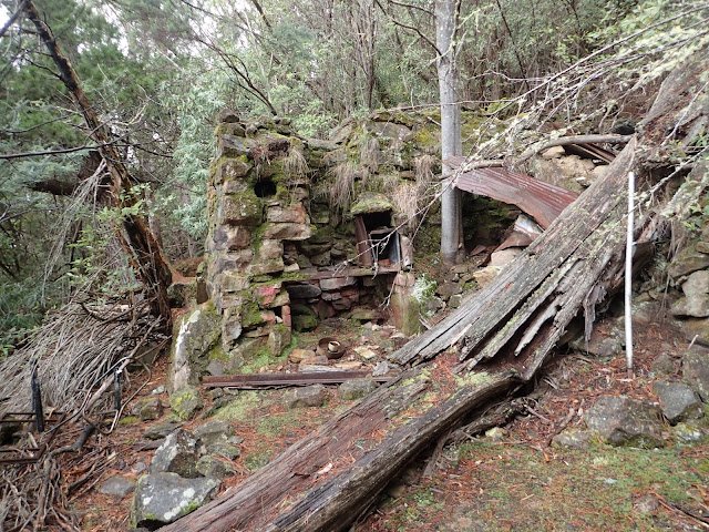  See https://ageramblings.blogspot.com/2018/11/victors-garden-2018.html 