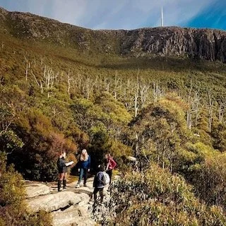 The Scientific Landscape