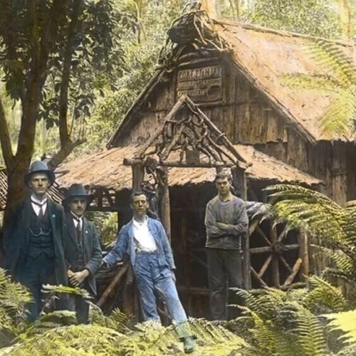 The Architectural Landscape