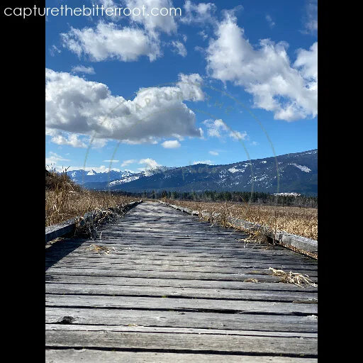 A boardwalk to the Bitterroots