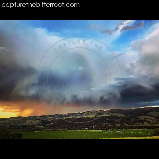 Weather the storm