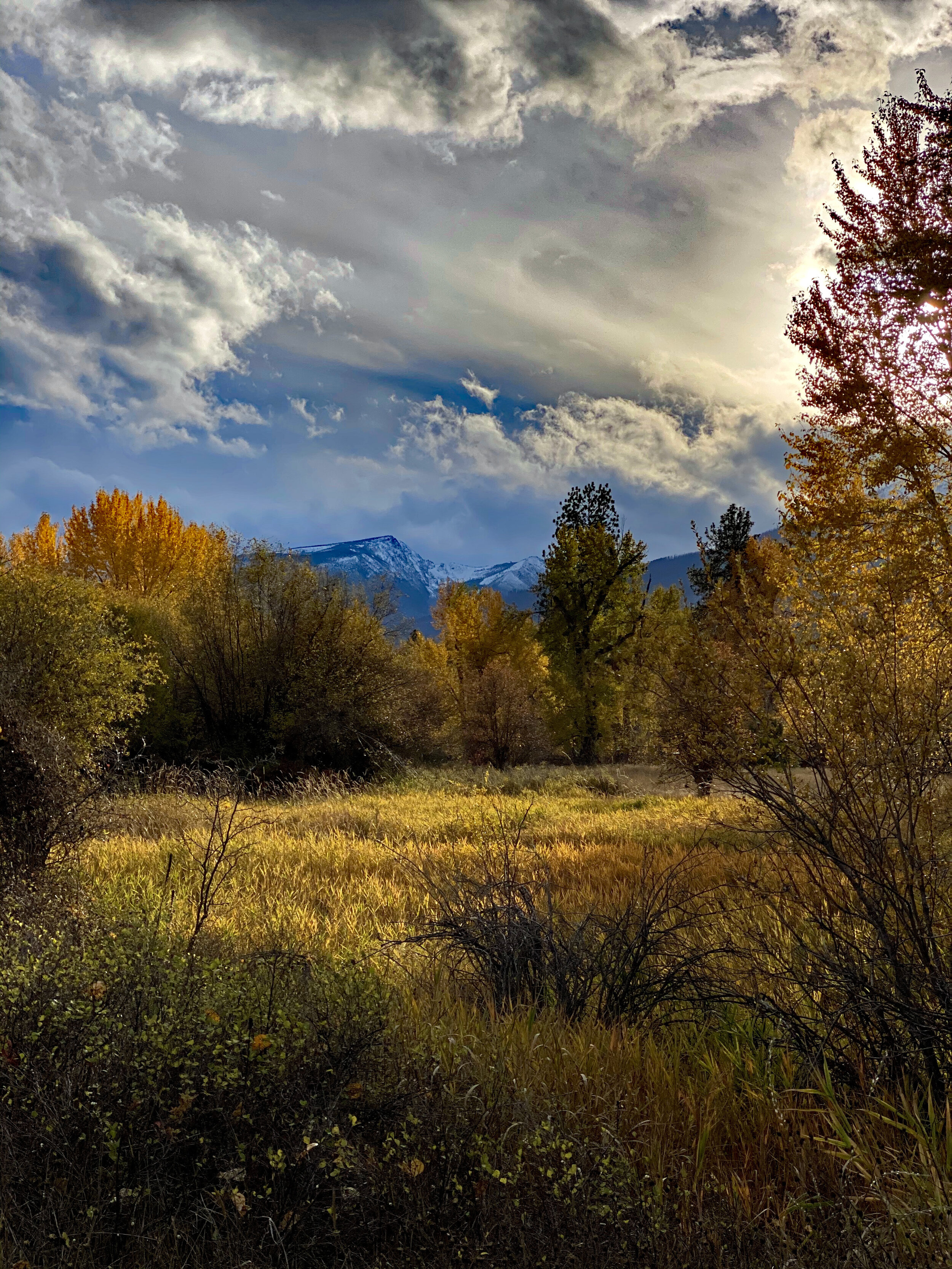 fall in heronymous park.jpg