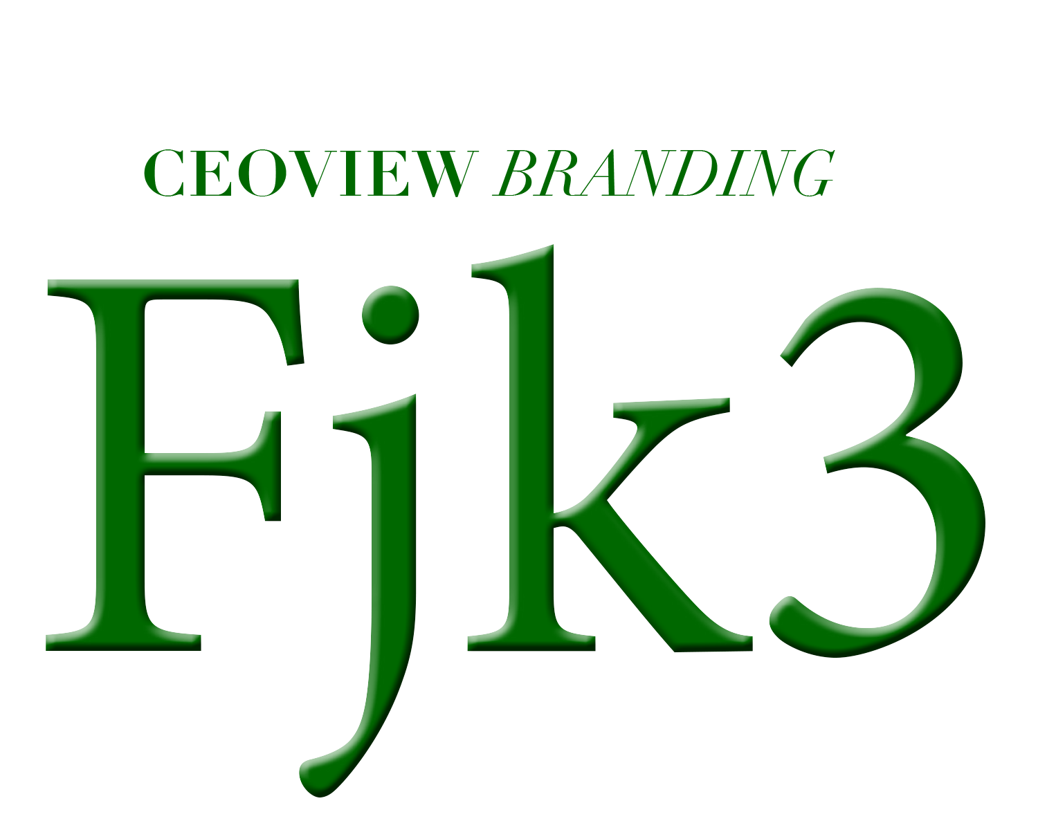 CEOVIEW Branding