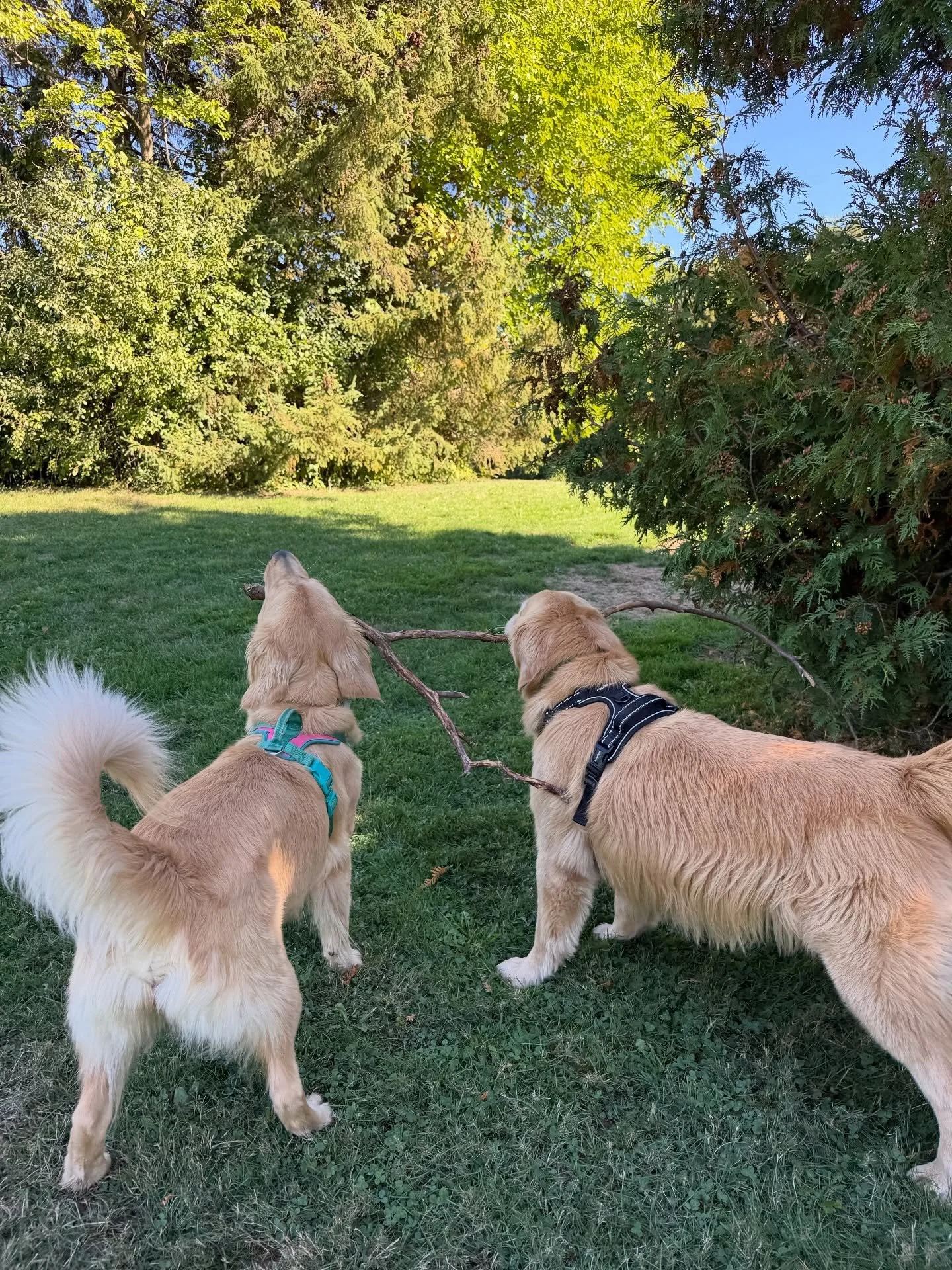 Sharing is caring🫂