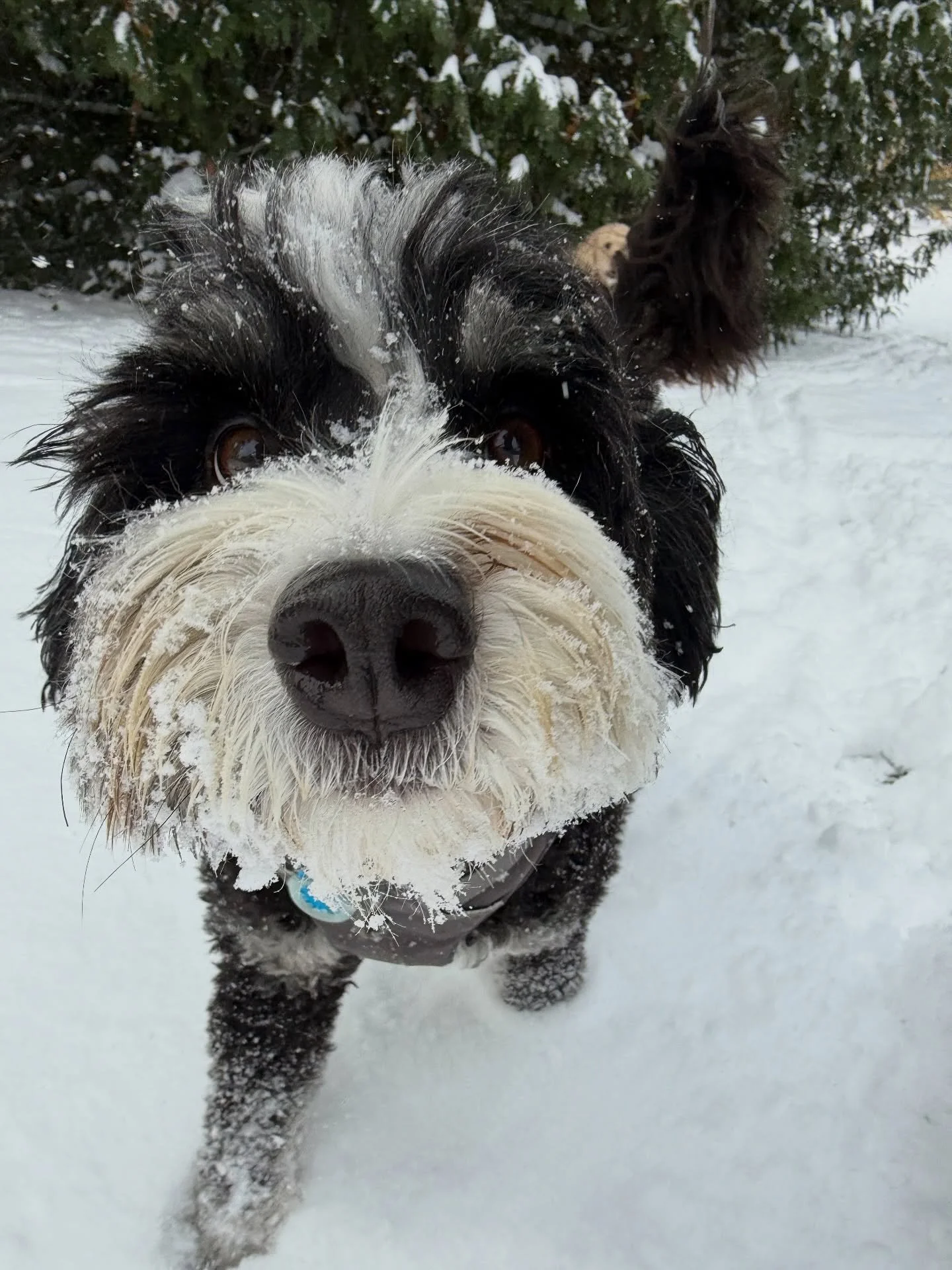 Well that happened fast😳☃️❄️