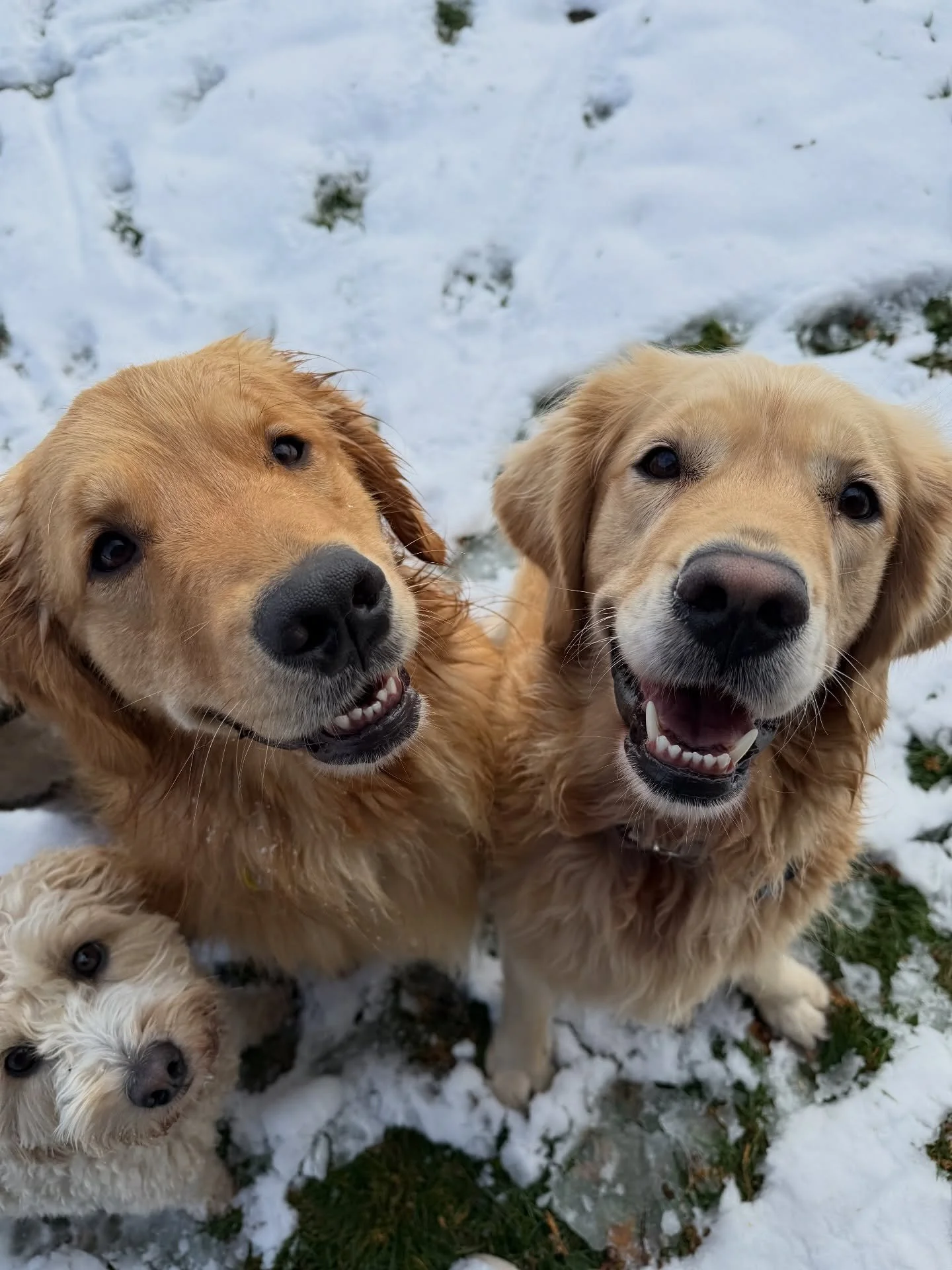 same but different 🤪😅