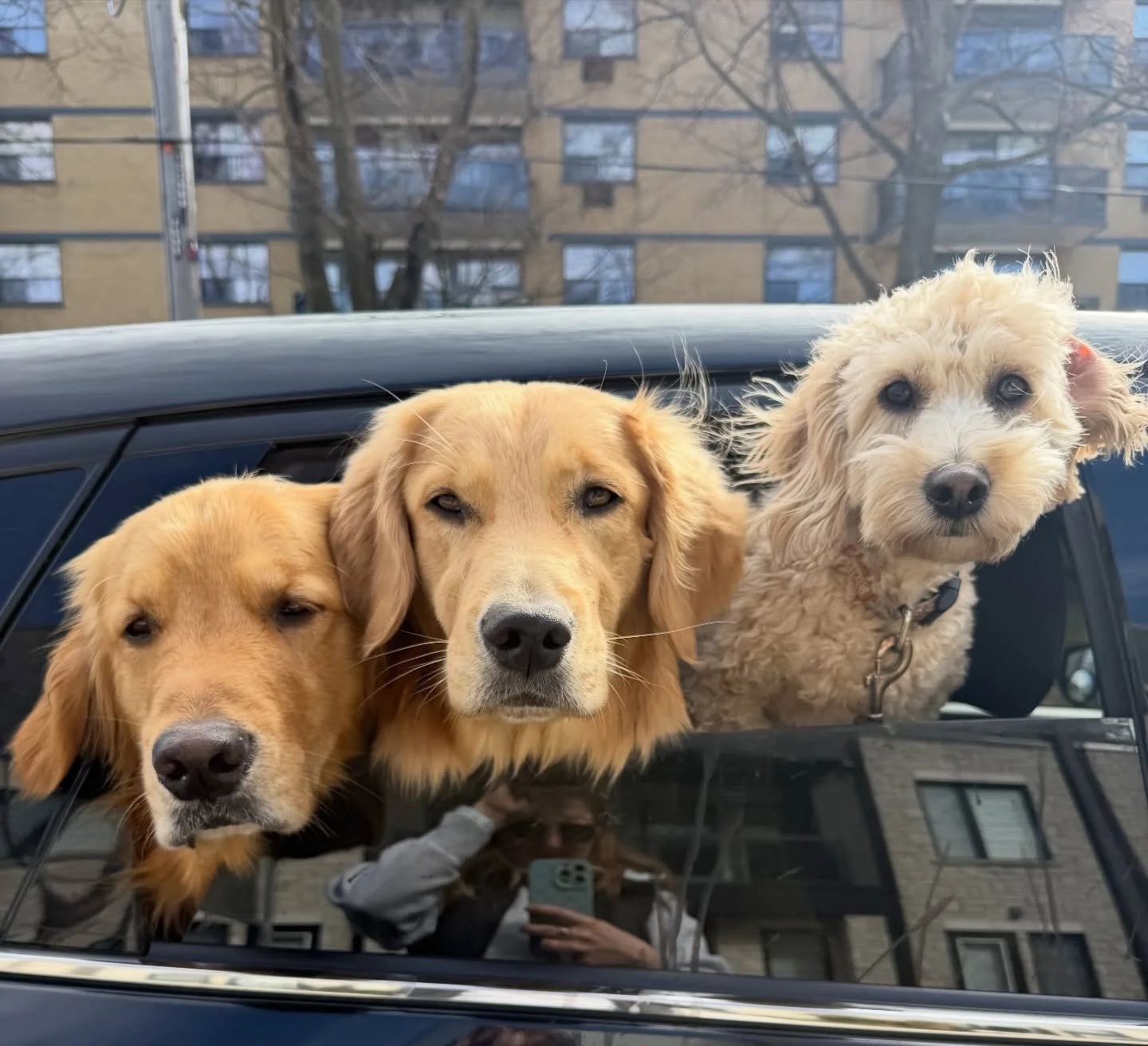 POV: I left the car to do a drop off and everyone is very nosey😂😅