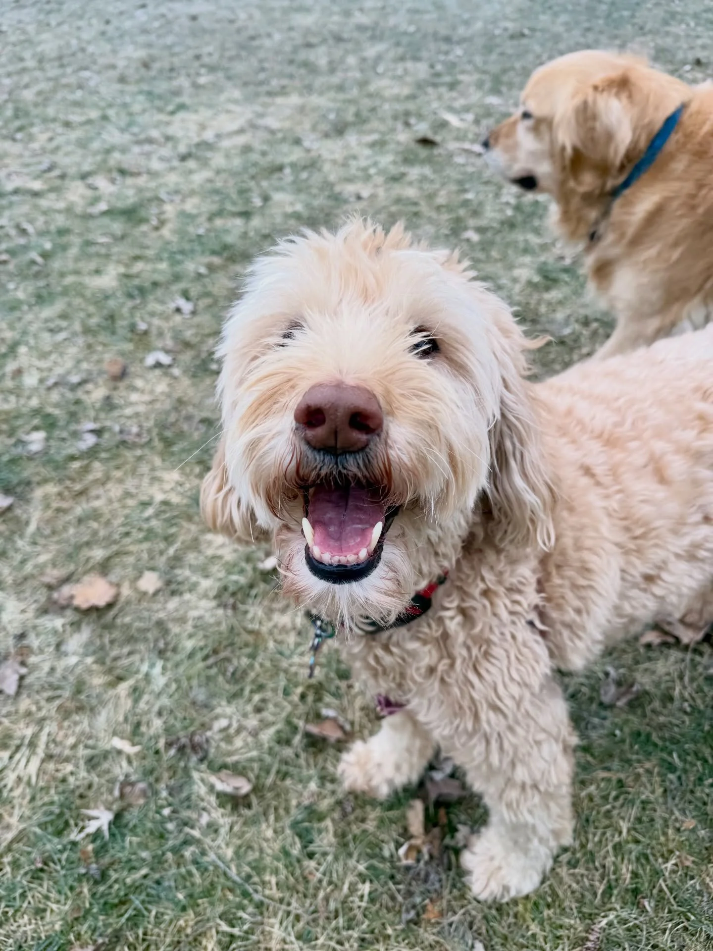 Before the snow arrived ❄️☃️🌨️