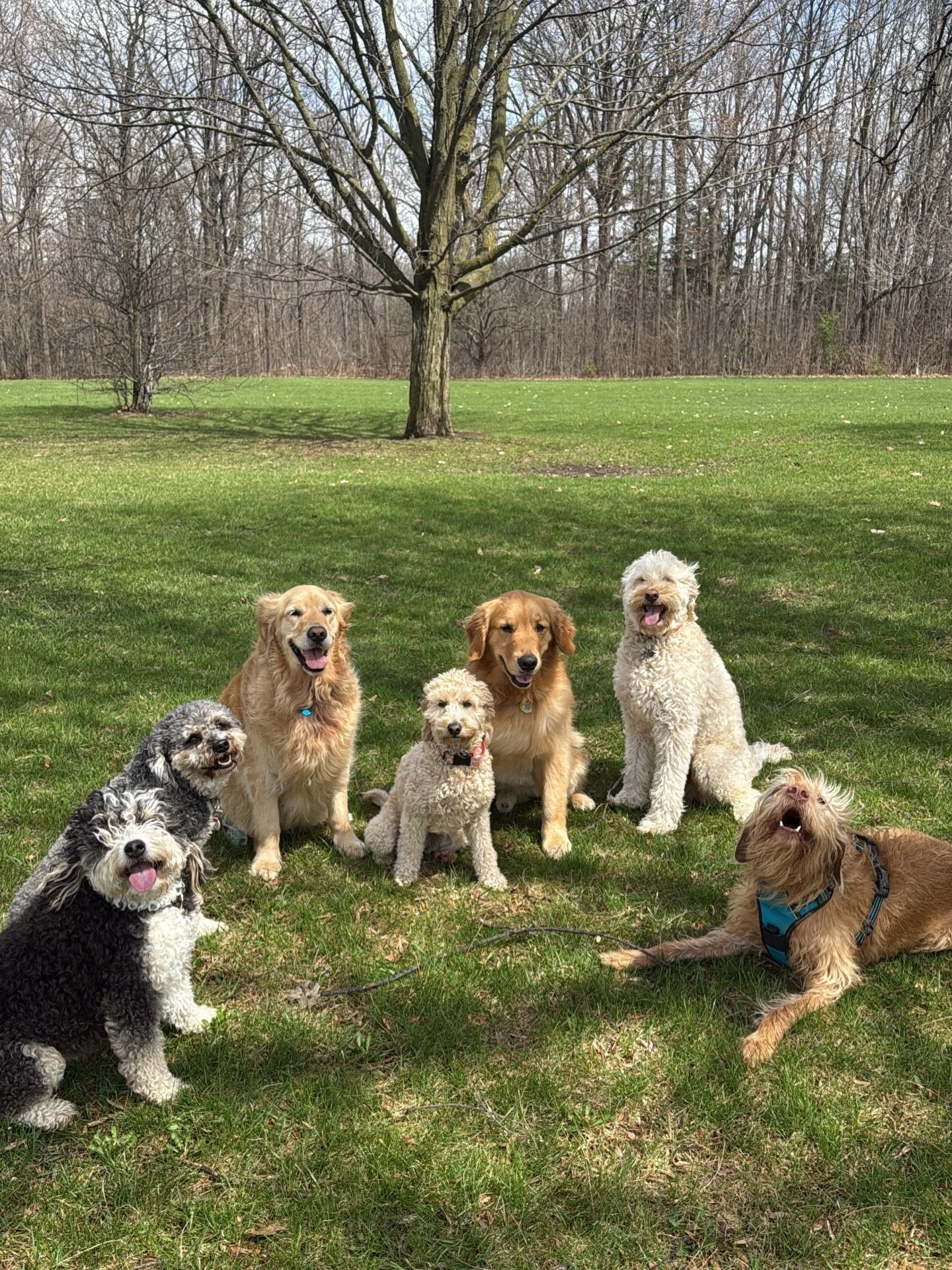 some good looking pups🥰😍