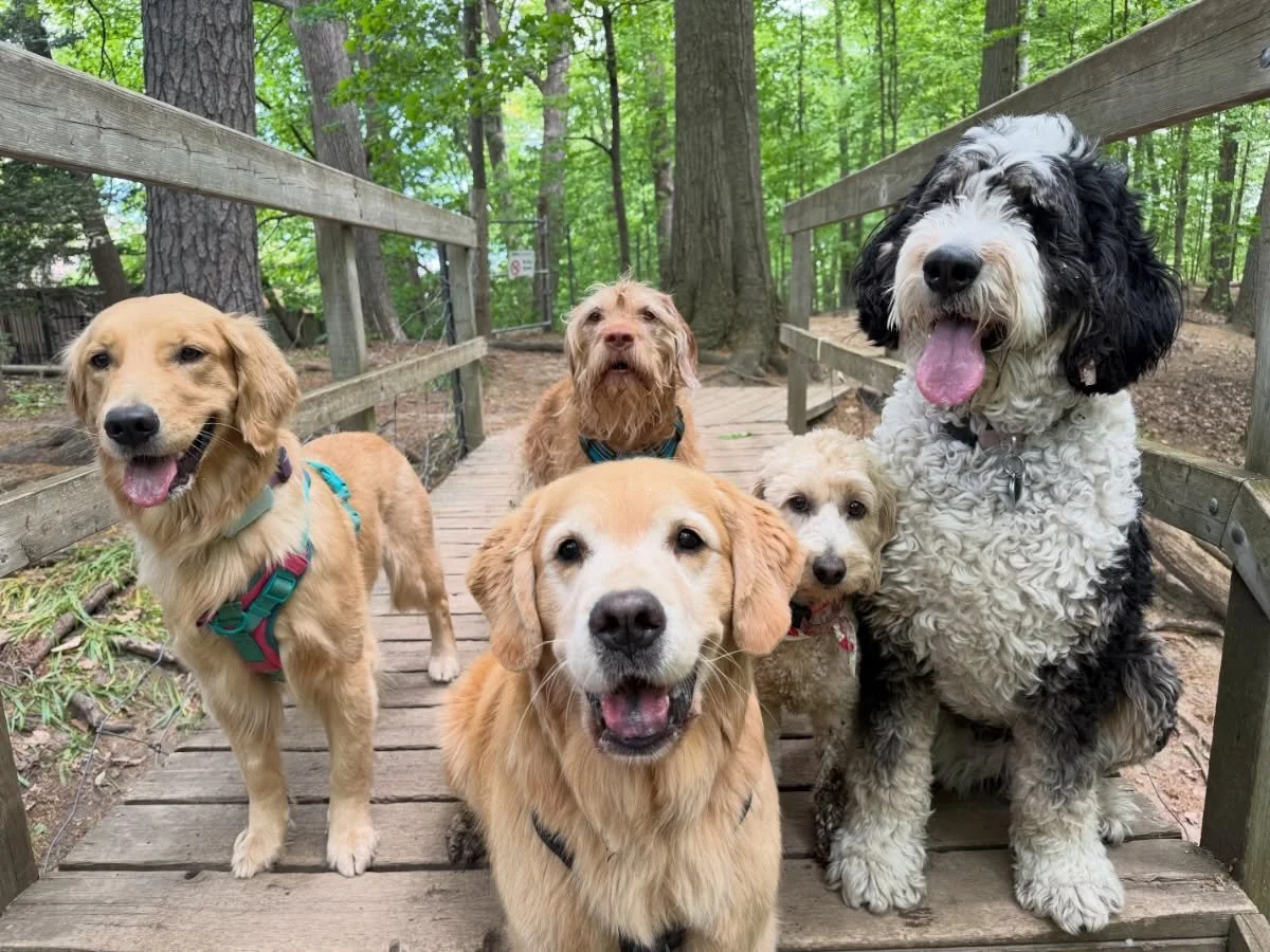 well at least they&rsquo;re all kinda looking at the camera 🤷🏼&zwj;♀️😅