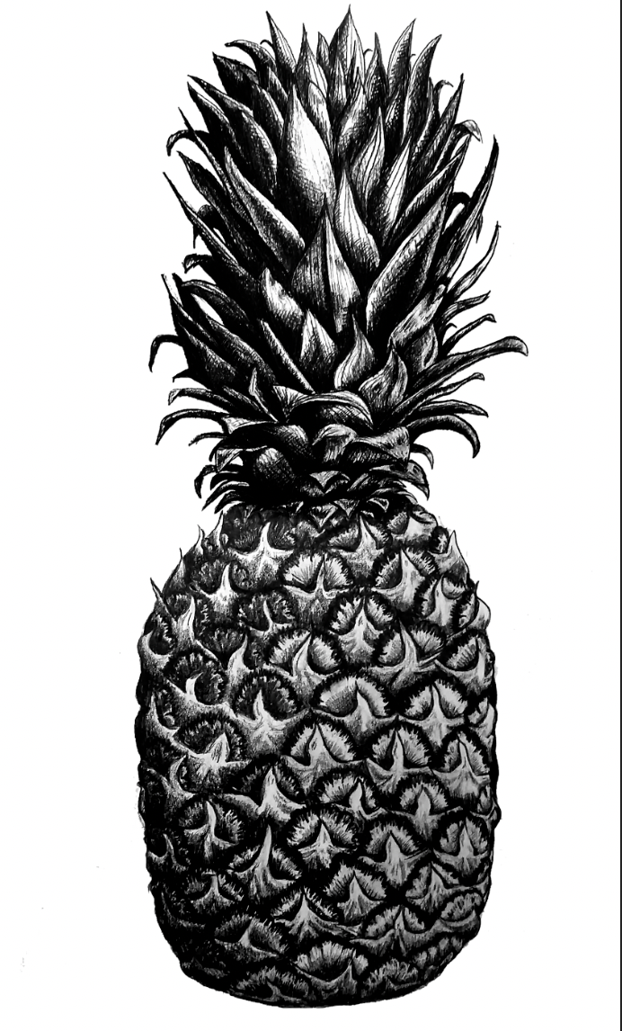 Screen Shot 2022-01-20 at 11.09.49 PM.png